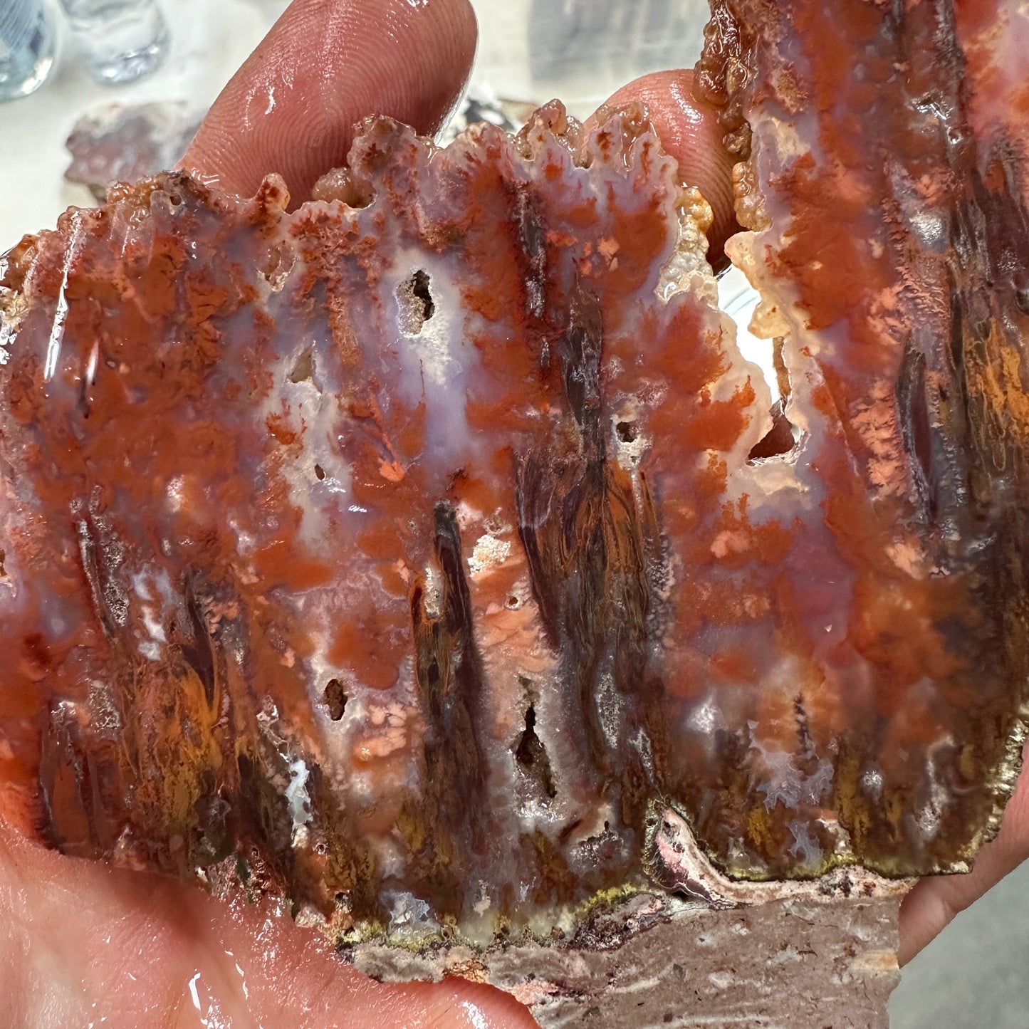 SICAT PLUME AGATE Slab - 156 grams