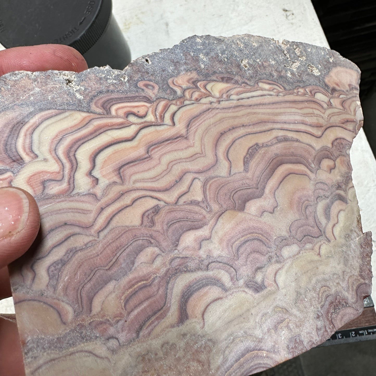 ROLLING HILLS DOLOMITE Slab - 257 grams