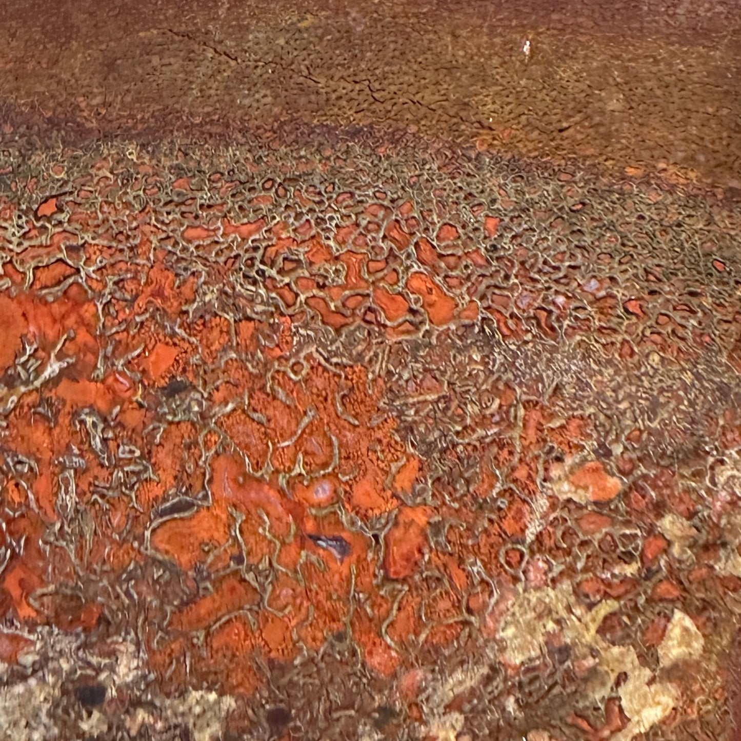 GEMBONE Dinosaur Bone Slab - 142 grams