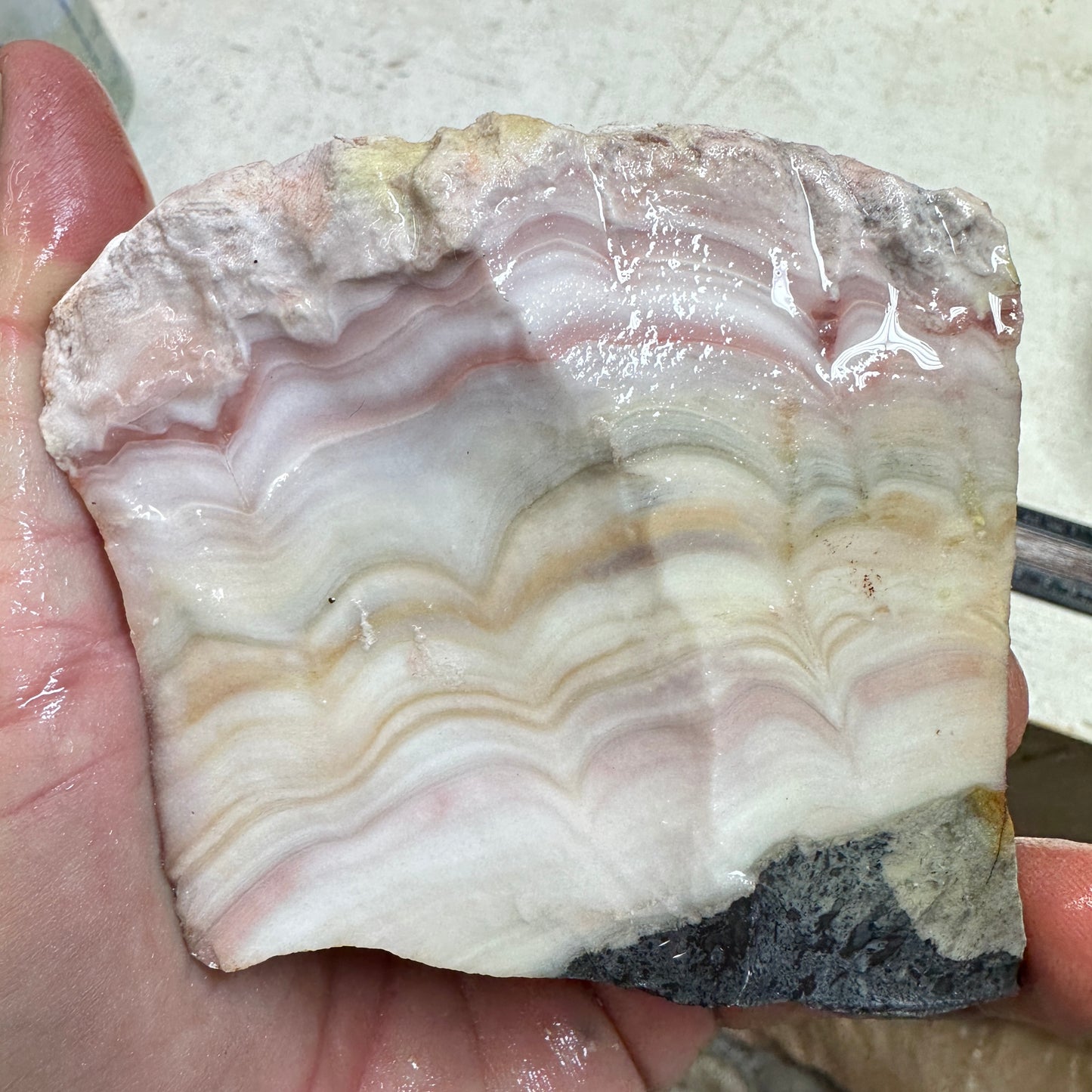 WINDY MOUNTAIN AGATE Rough - 1.50 Pounds
