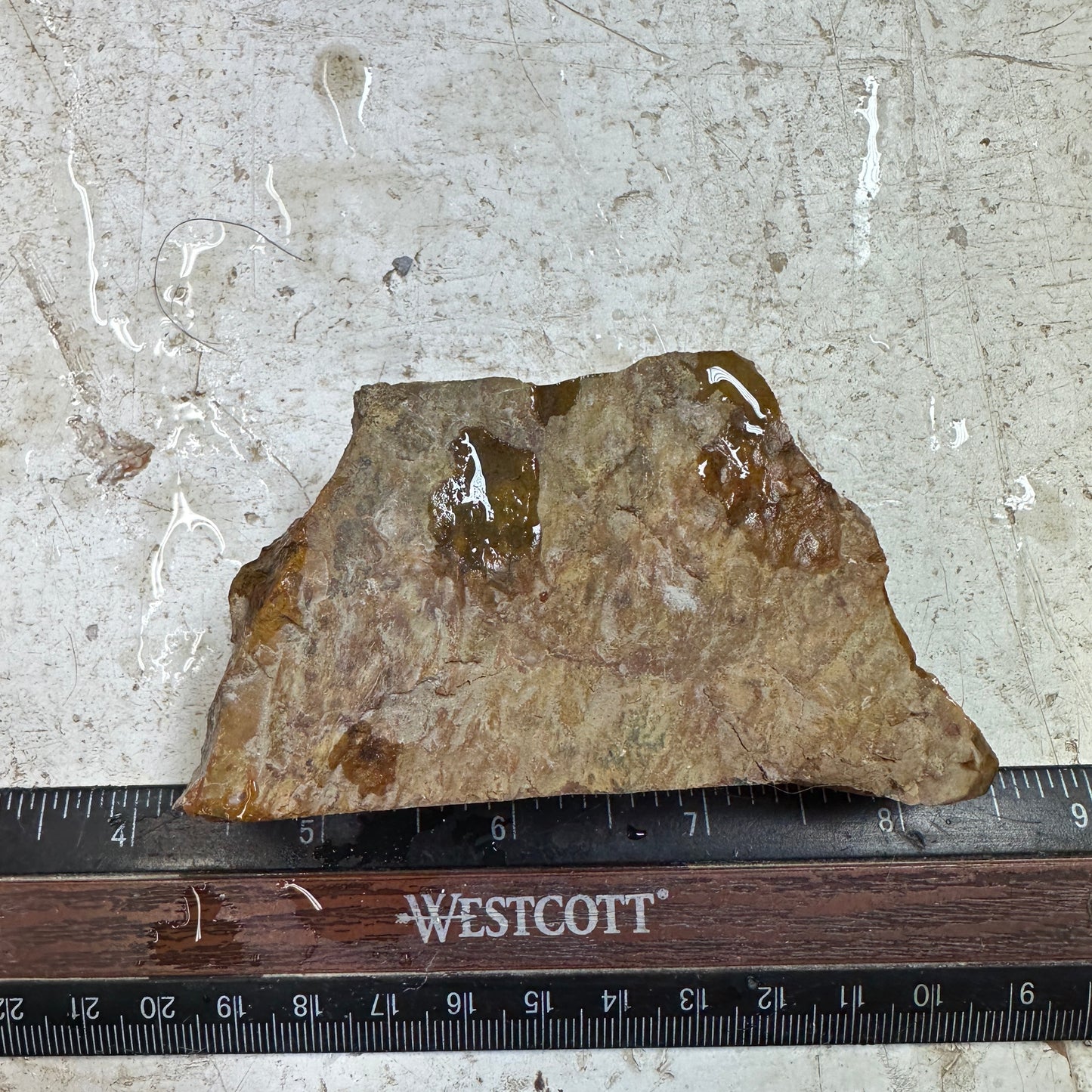 MORRISONITE JASPER Faced Rough - 0.43 Pounds