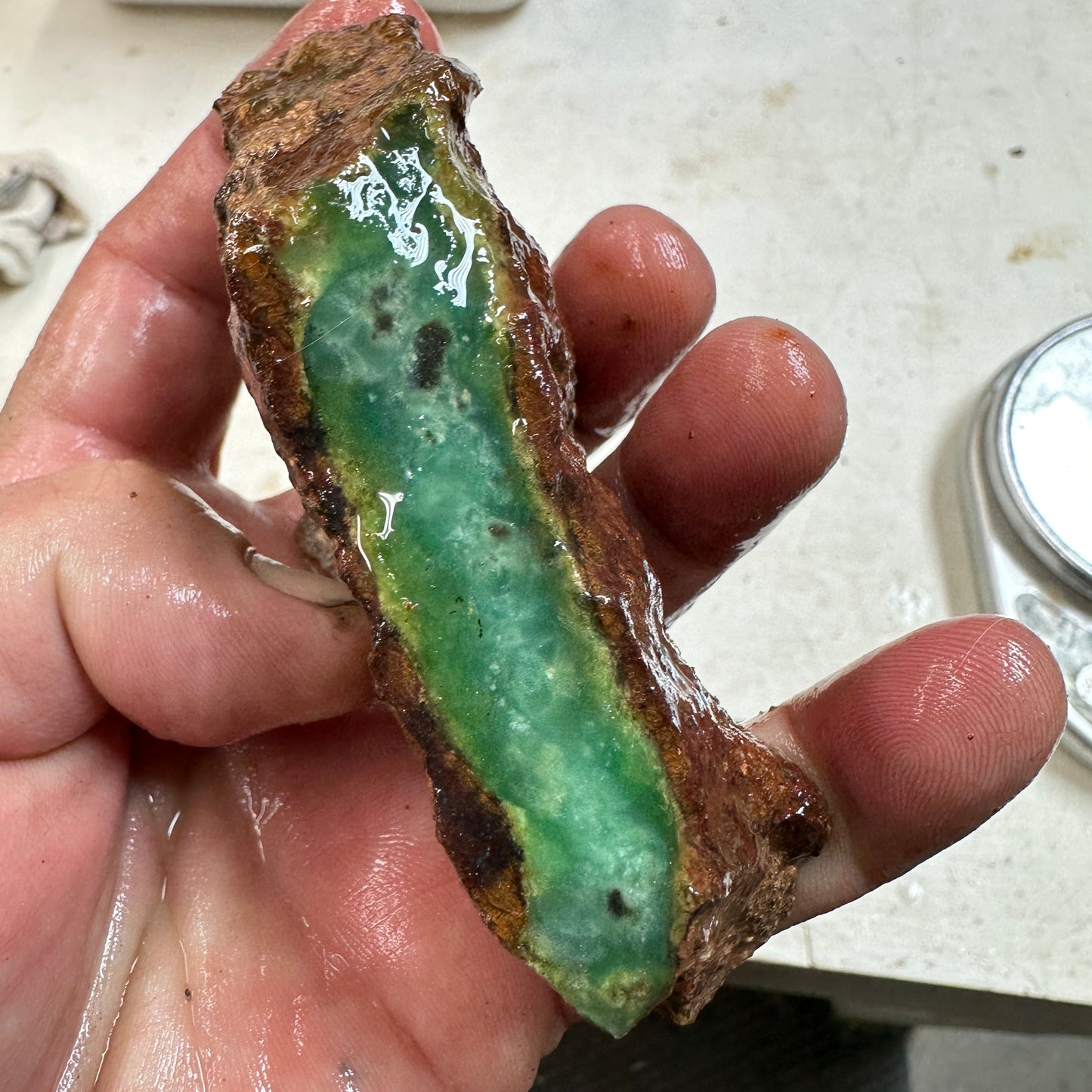 CHRYSOPRASE Faced Rough - 0.50 Pounds