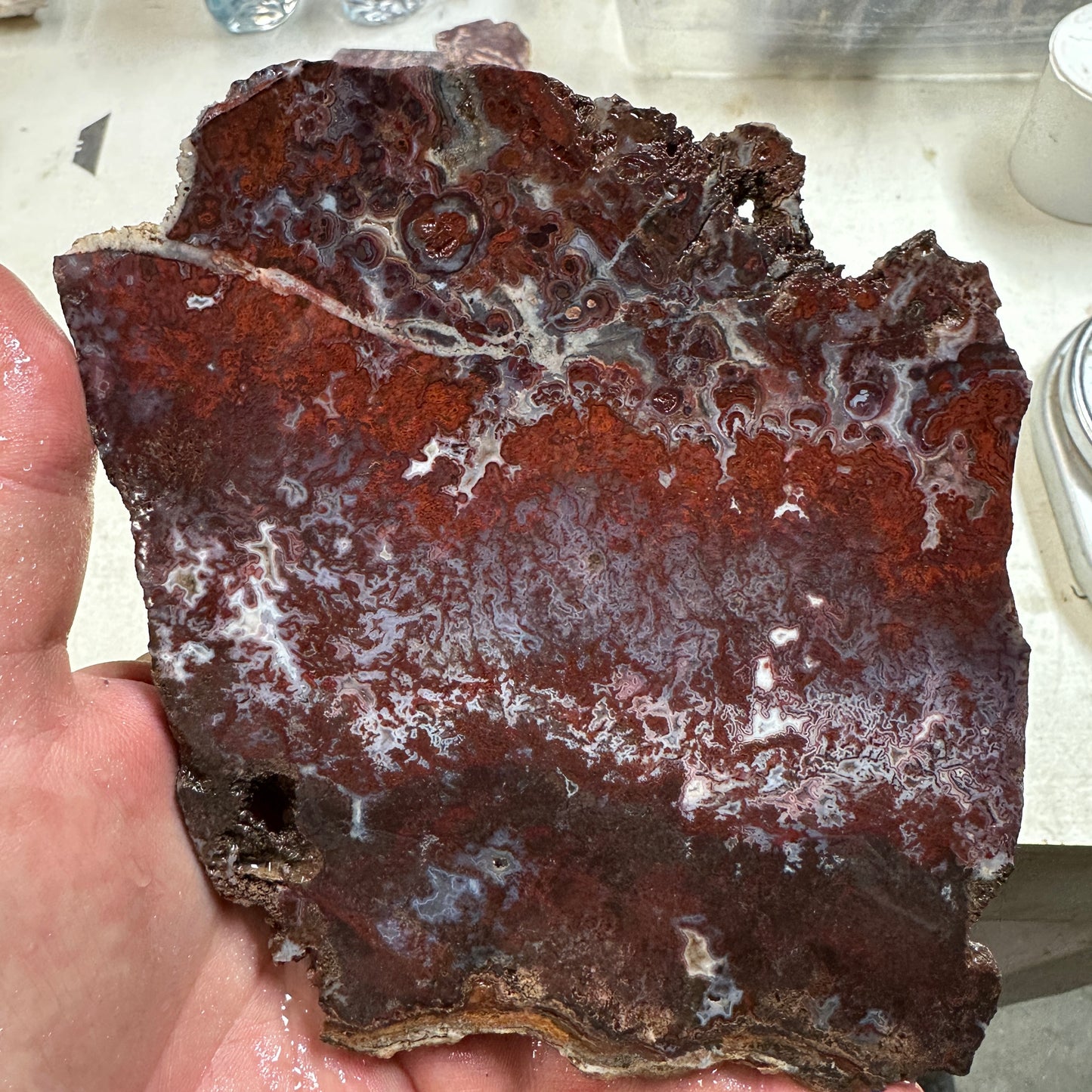 CADY MOUNTAIN AGATE Slab - 227 grams