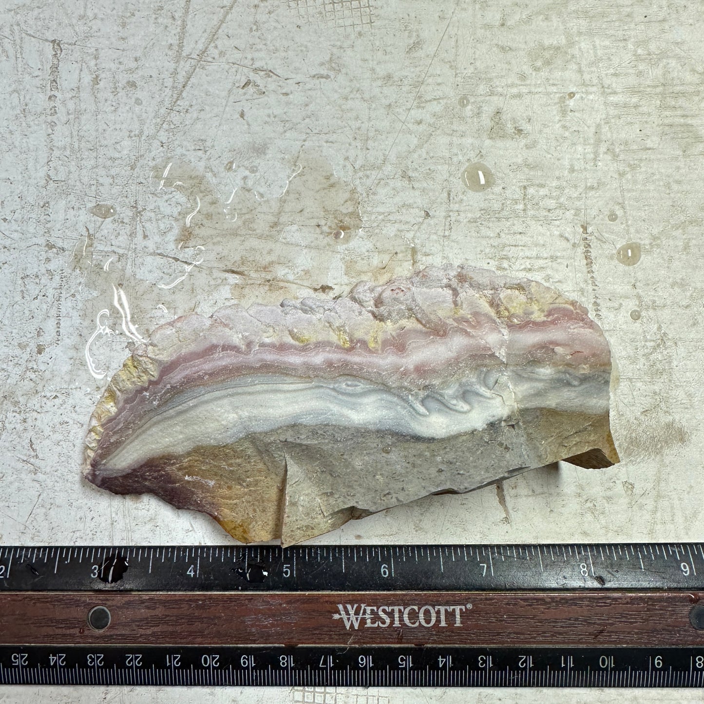 WINDY MOUNTAIN AGATE Rough - 0.72 Pounds