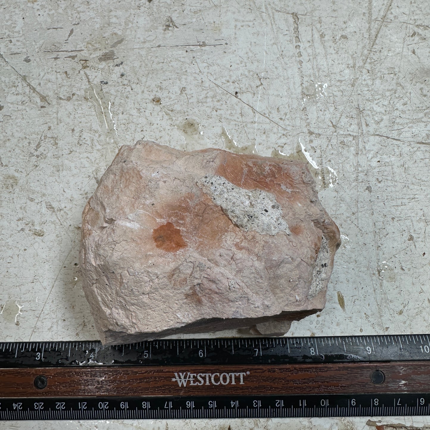 Rare Orbed TIFFANY STONE Rough - 1.78 Pounds