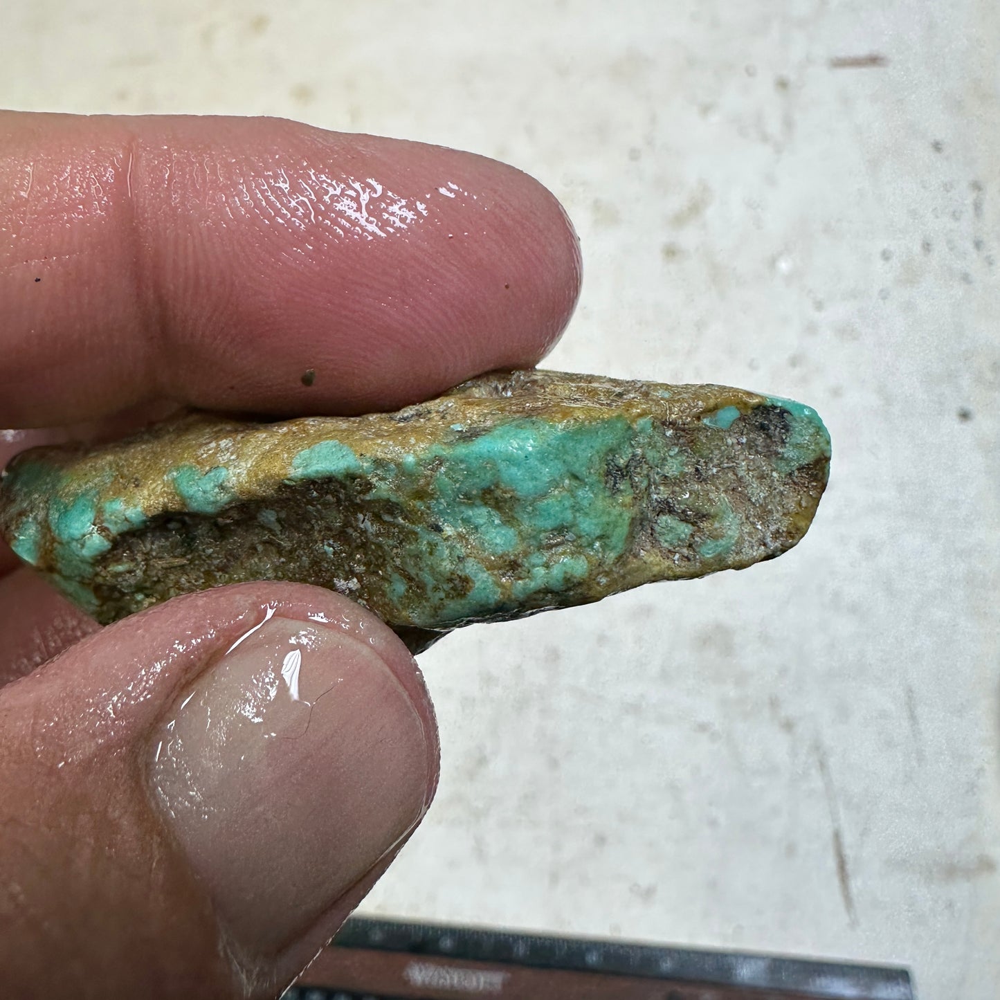 RISING PHOENIX Turquoise rough - 41.8 grams