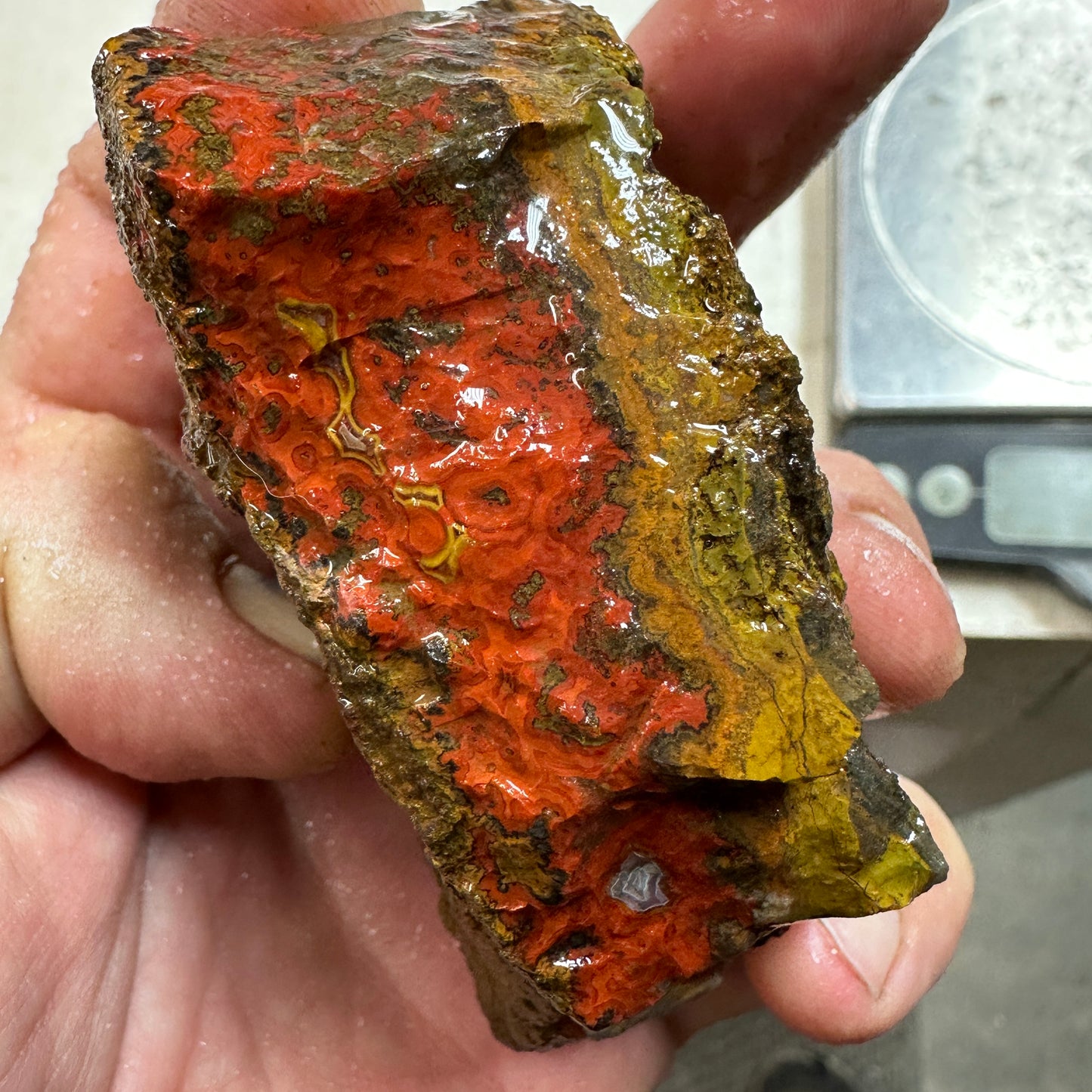 MOROCCAN SEAM AGATE Rough - 0.67 Pounds