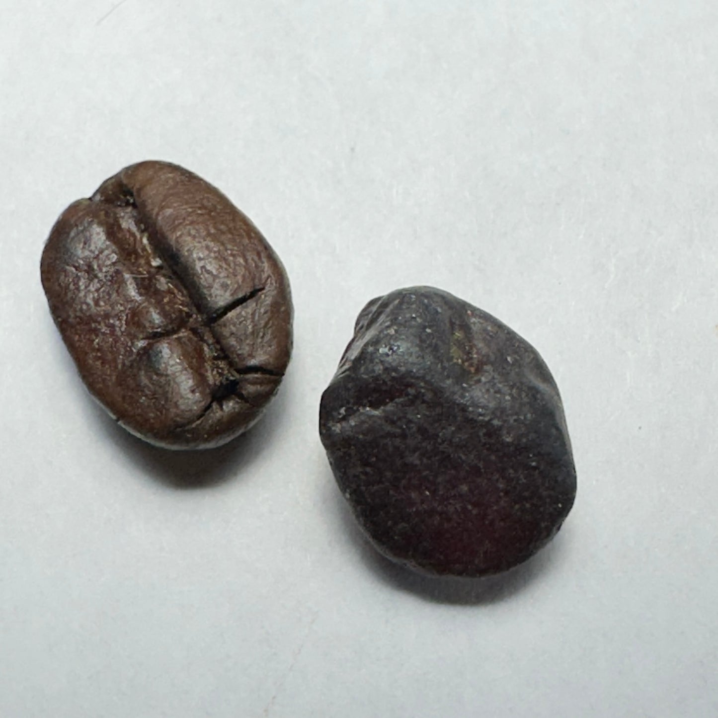 6.64ct ZIRCON Facet Rough