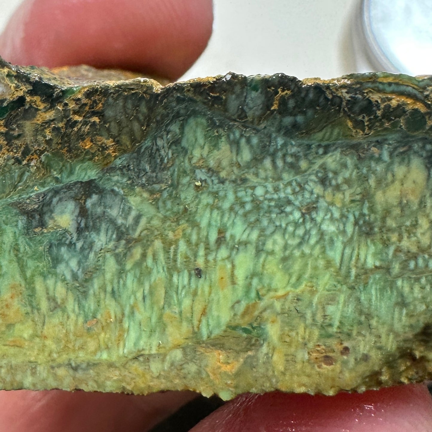 AUSTRALIAN VARISCITE Faced Rough - 102.4 grams