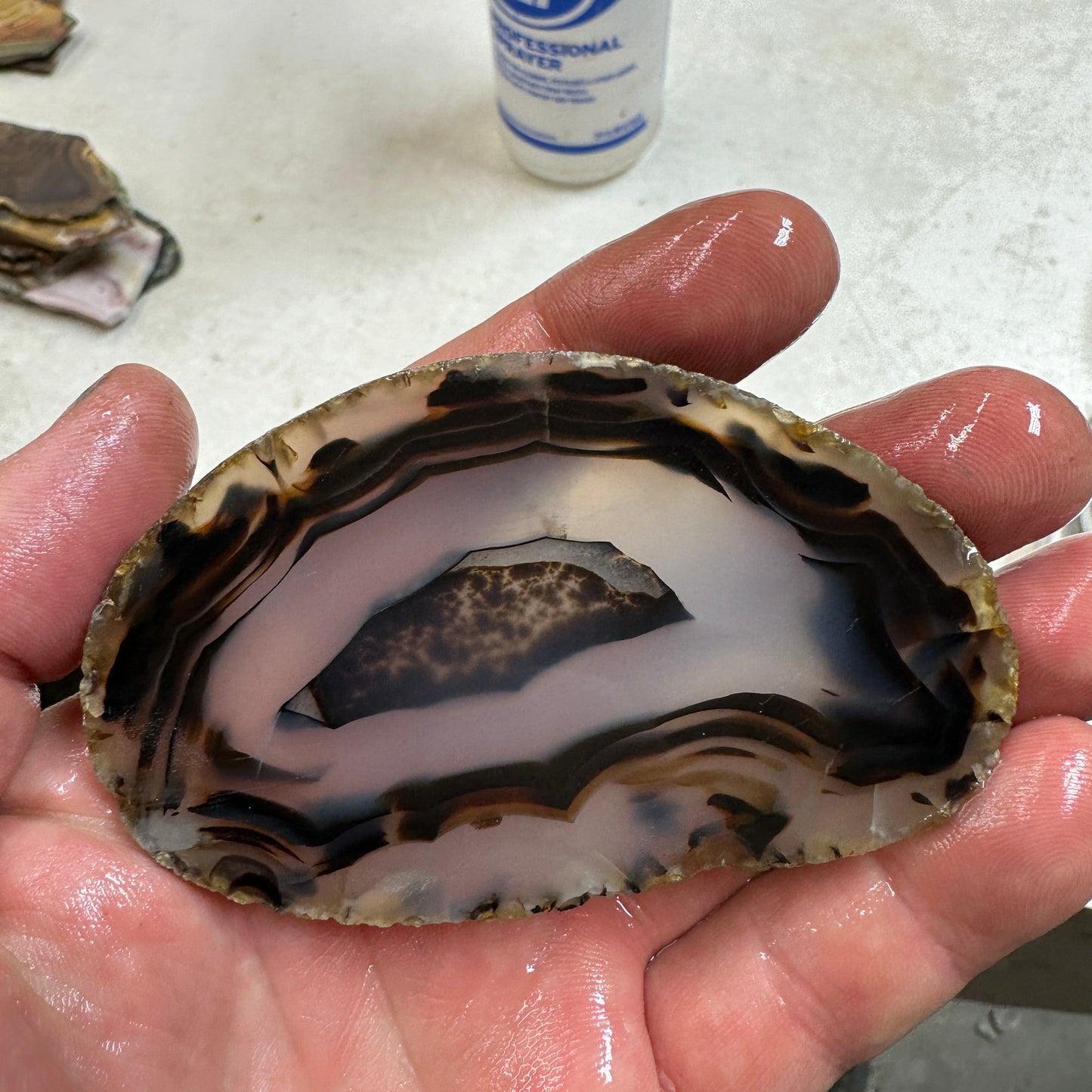 MONTANA AGATE Slab - 62 grams