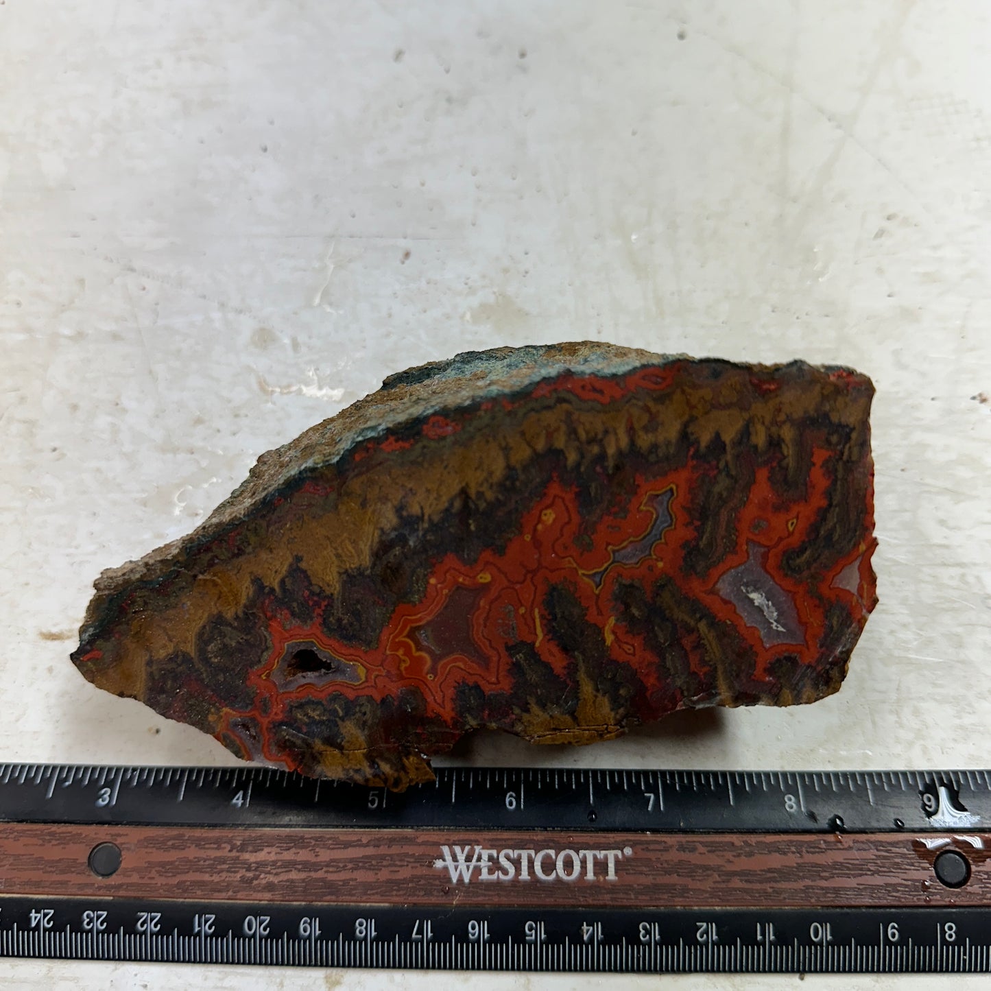 MOROCCAN SEAM AGATE Faced Rough - 1.32 Pounds