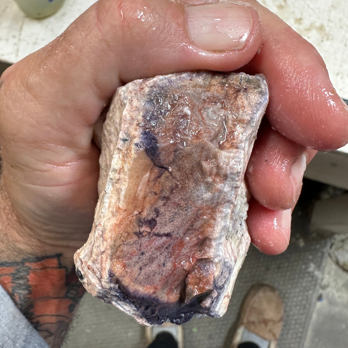TIFFANY STONE Rough - 1.21 Pounds