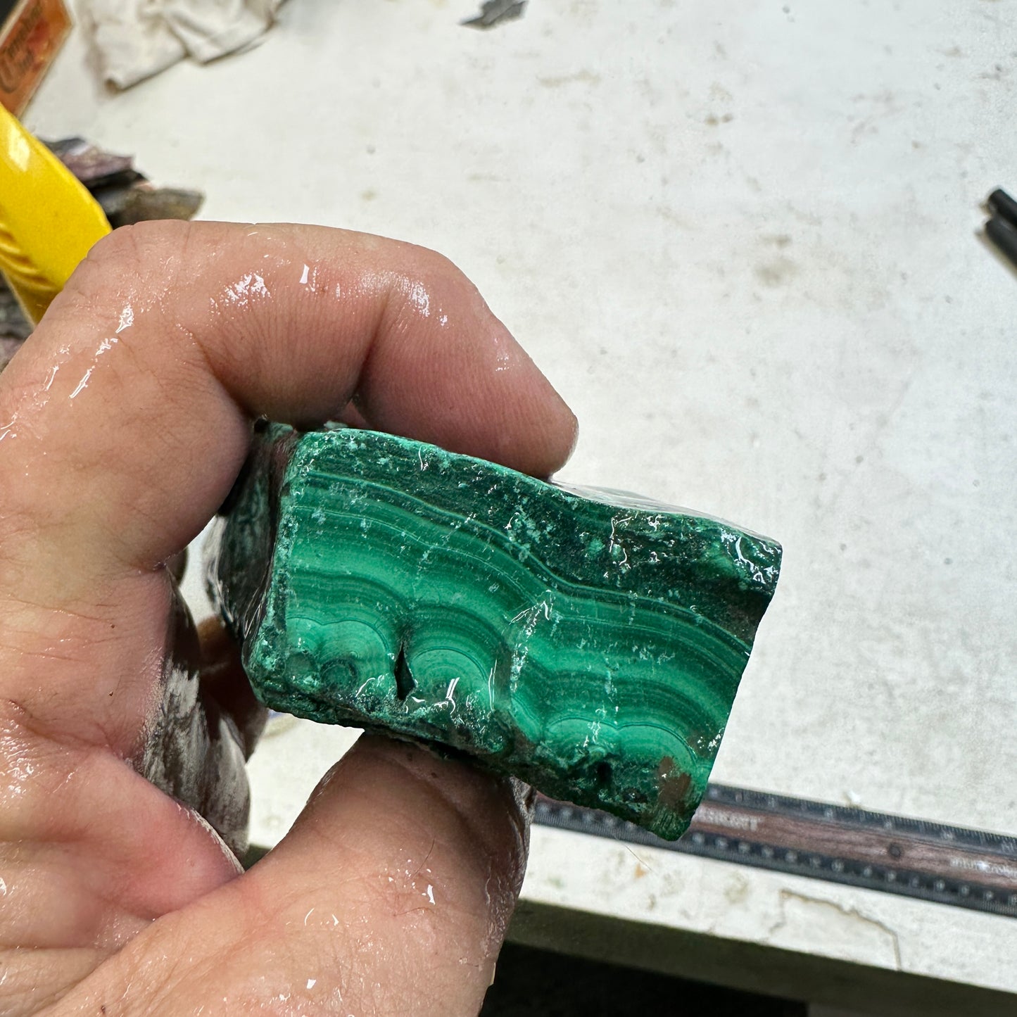 MALACHITE Faced Rough - 1.51 Pounds