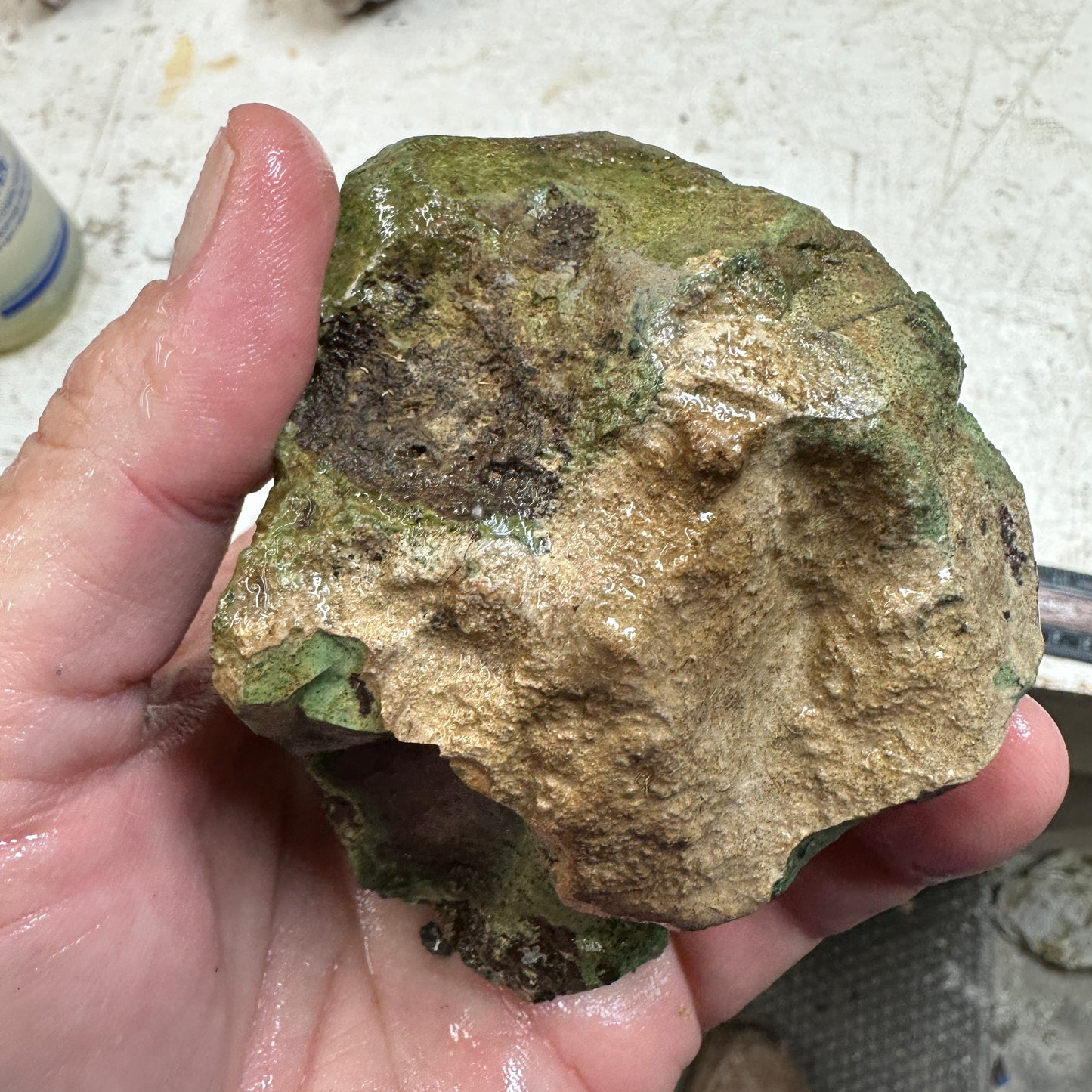 ECHO RIDGE JASPER Rough - 1.09 Pounds