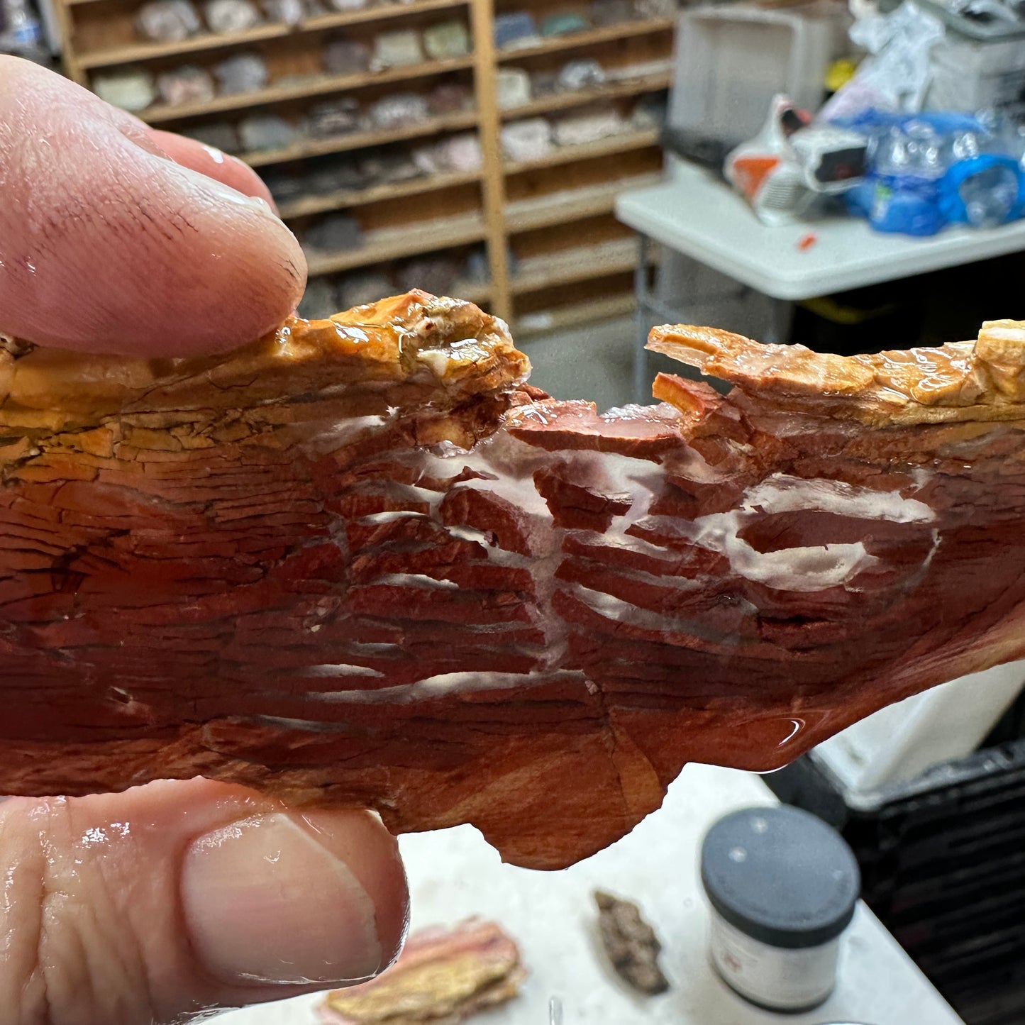 SUNSET HOWARDITE Slab - 51 grams