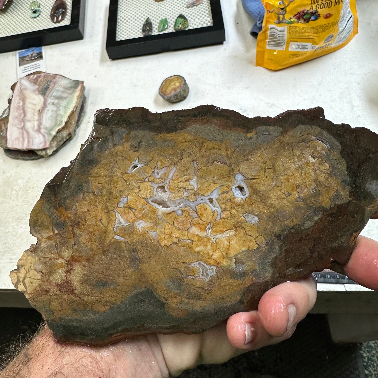 DRY CREEK JASPER Slab - 235 grams