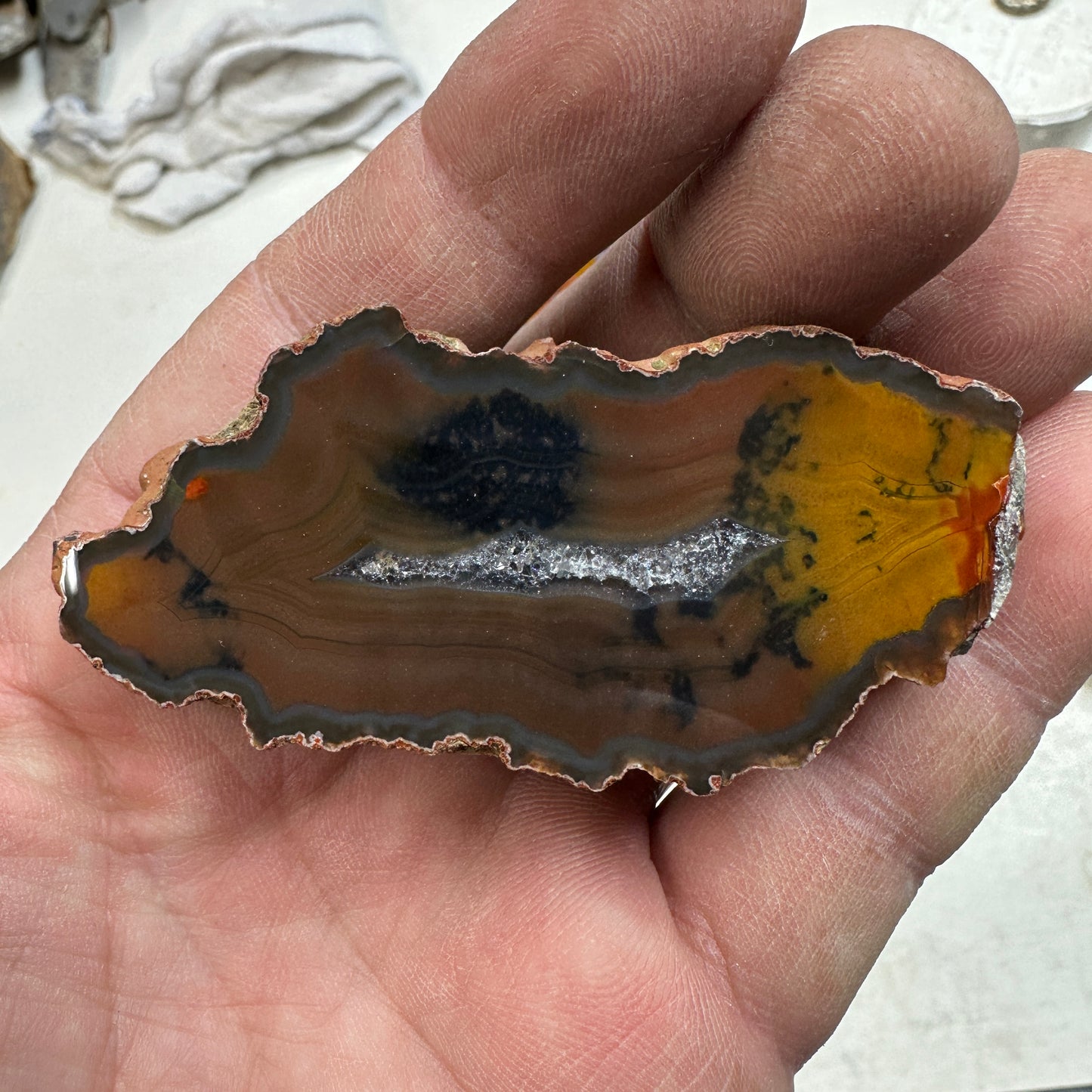 CONDOR AGATE Polished Specimen