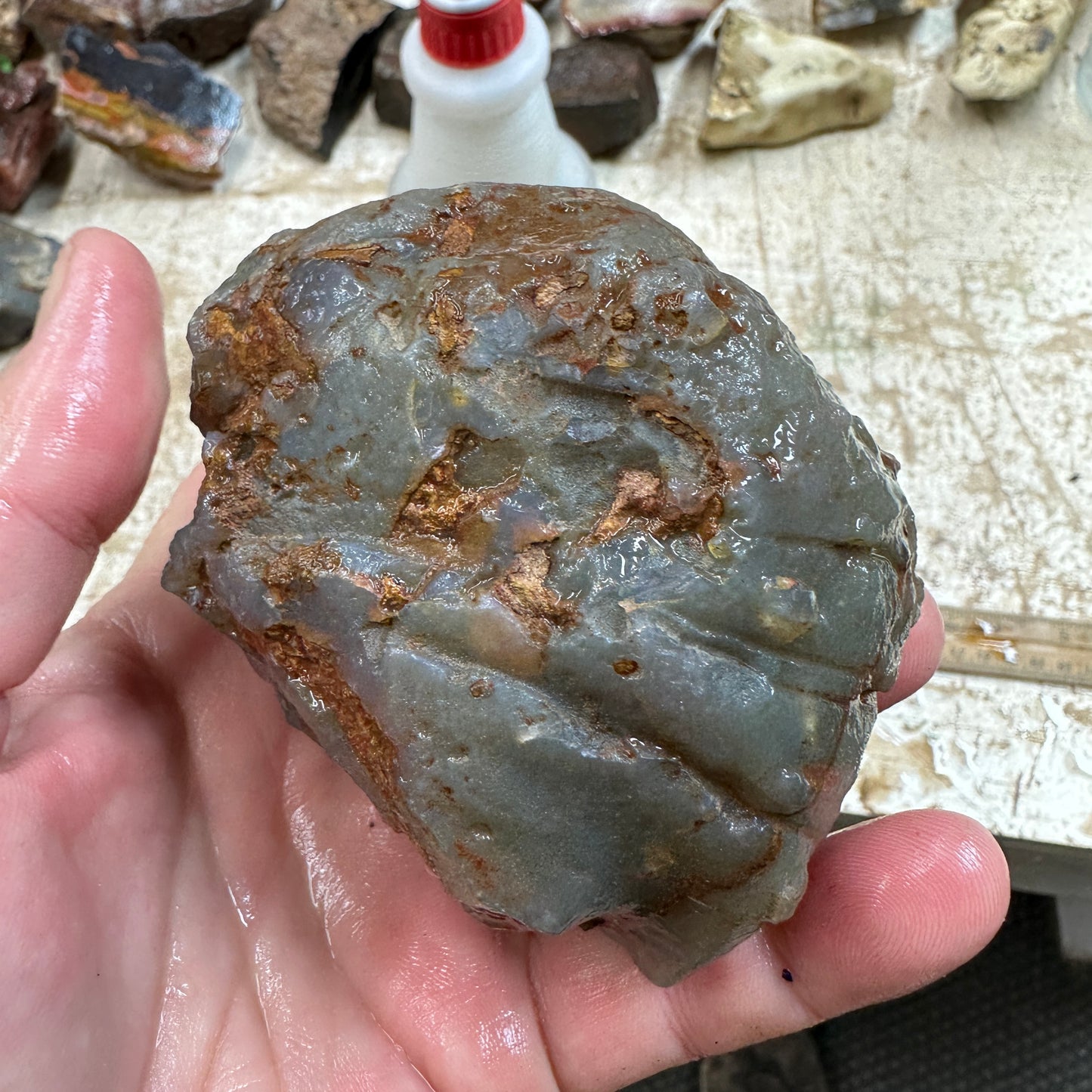 SWAZI ROSE AGATE Rough - 1.49 Pounds