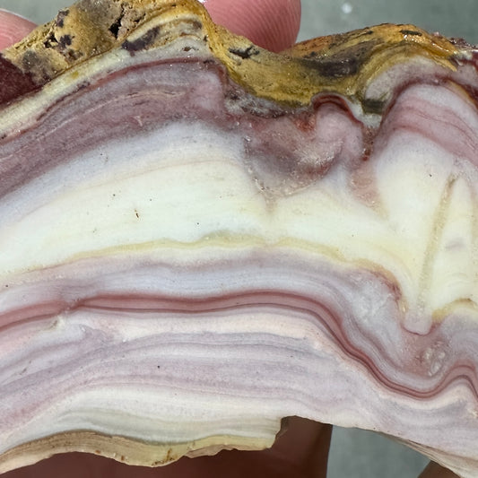 WINDY MOUNTAIN AGATE Faced Rough - 1.01 Pounds