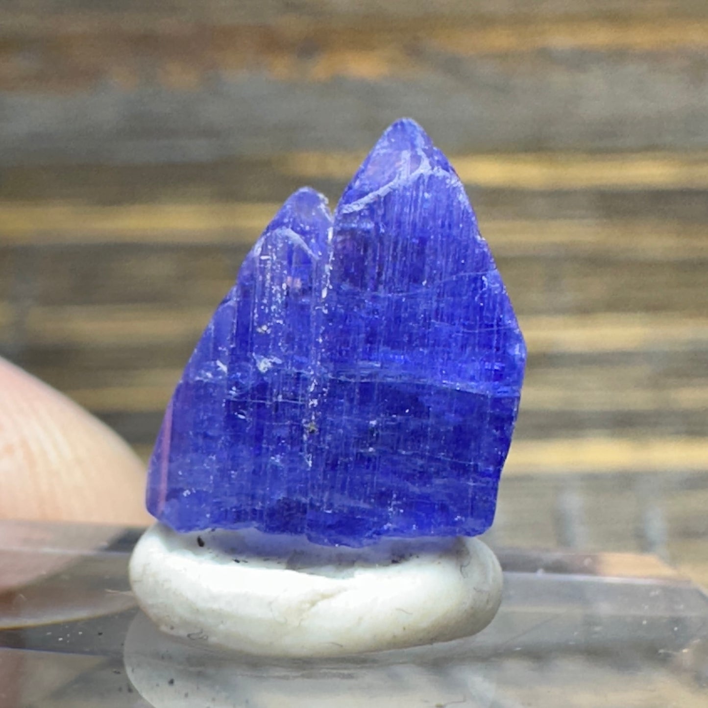 TANZANITE Crystal Display Mineral Specimen
