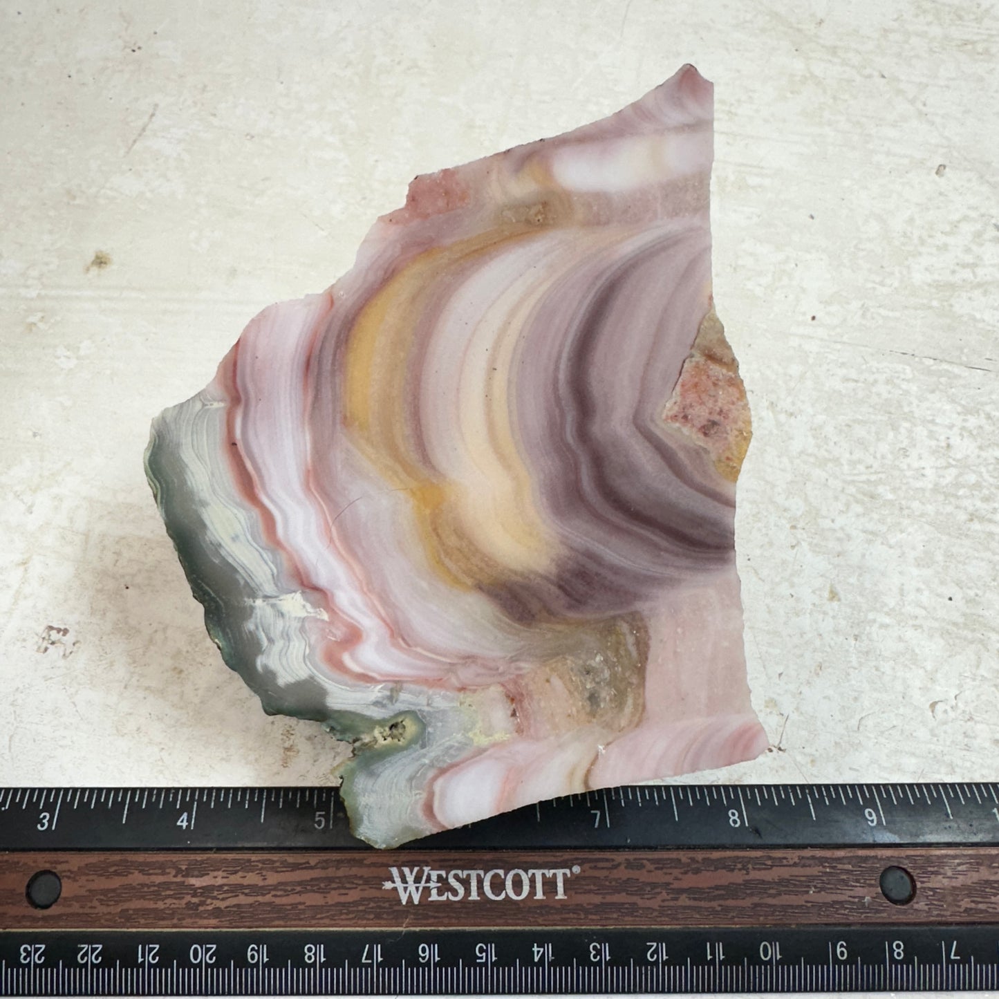 WINDY MOUNTAIN AGATE Faced Rough - 1.48 Pounds