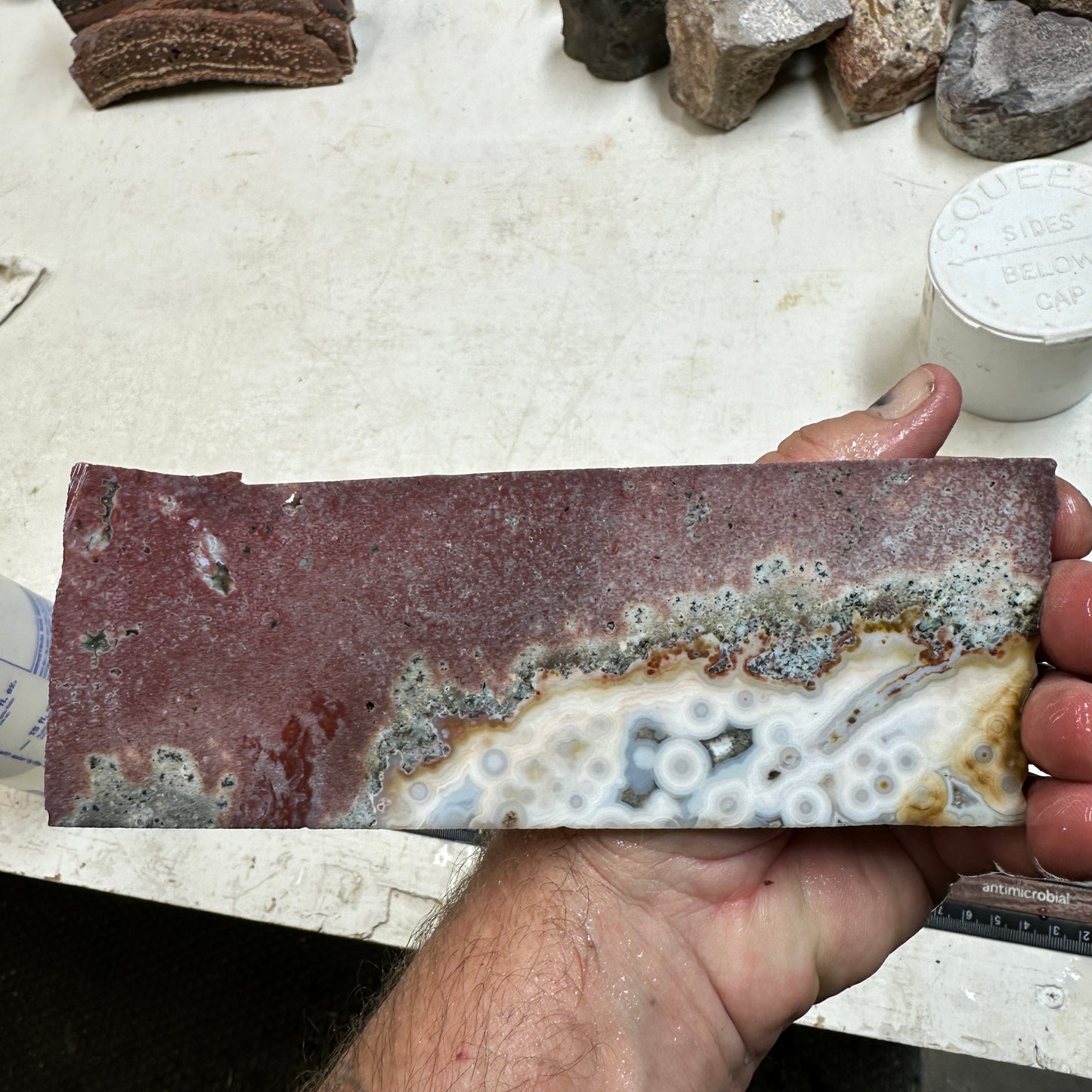 OCEAN JASPER Slab - 195 grams