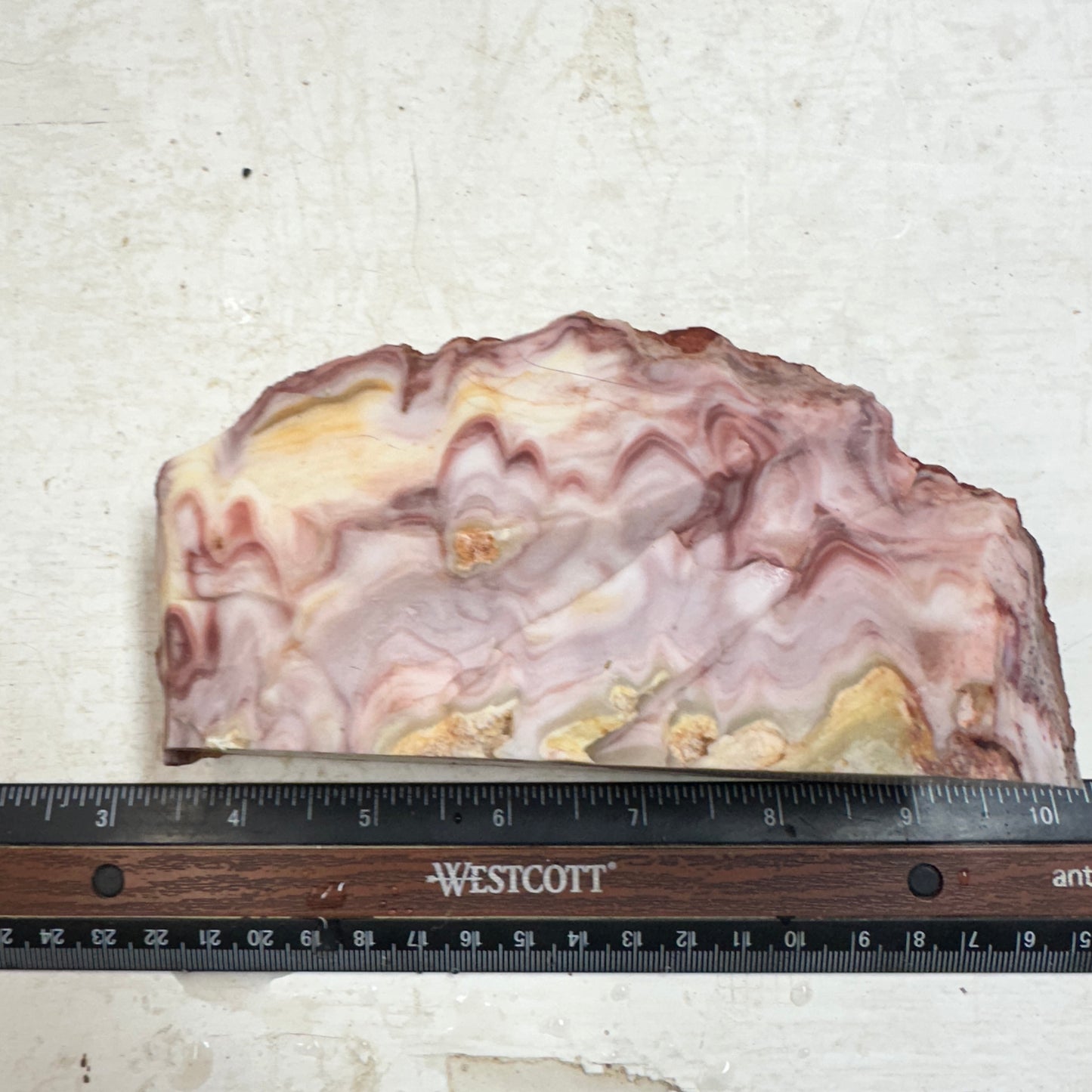 WINDY MOUNTAIN AGATE Faced Rough - 1.72 Pounds