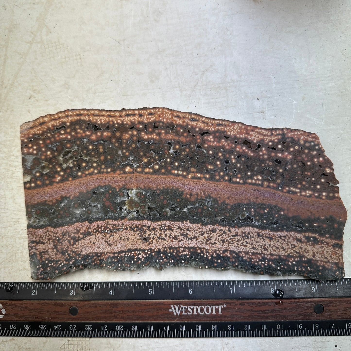 Chocolate RIVER JASPER Slab - 386 grams