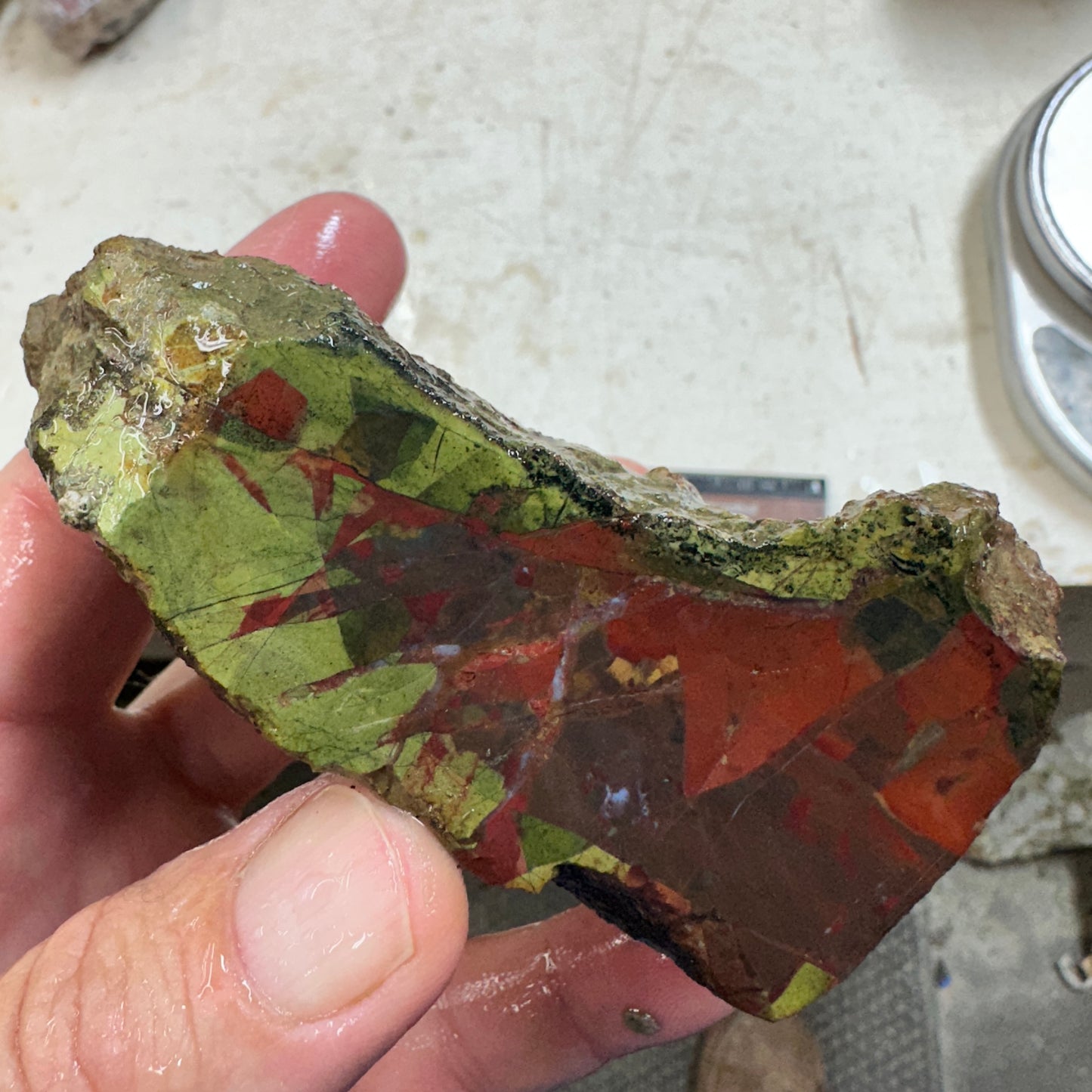 ECHO RIDGE JASPER Rough - 0.81 Pounds