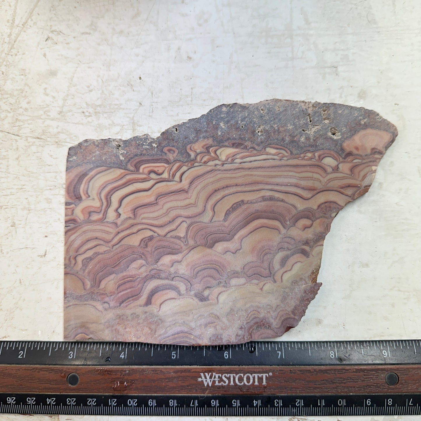 ROLLING HILLS DOLOMITE Slab - 257 grams
