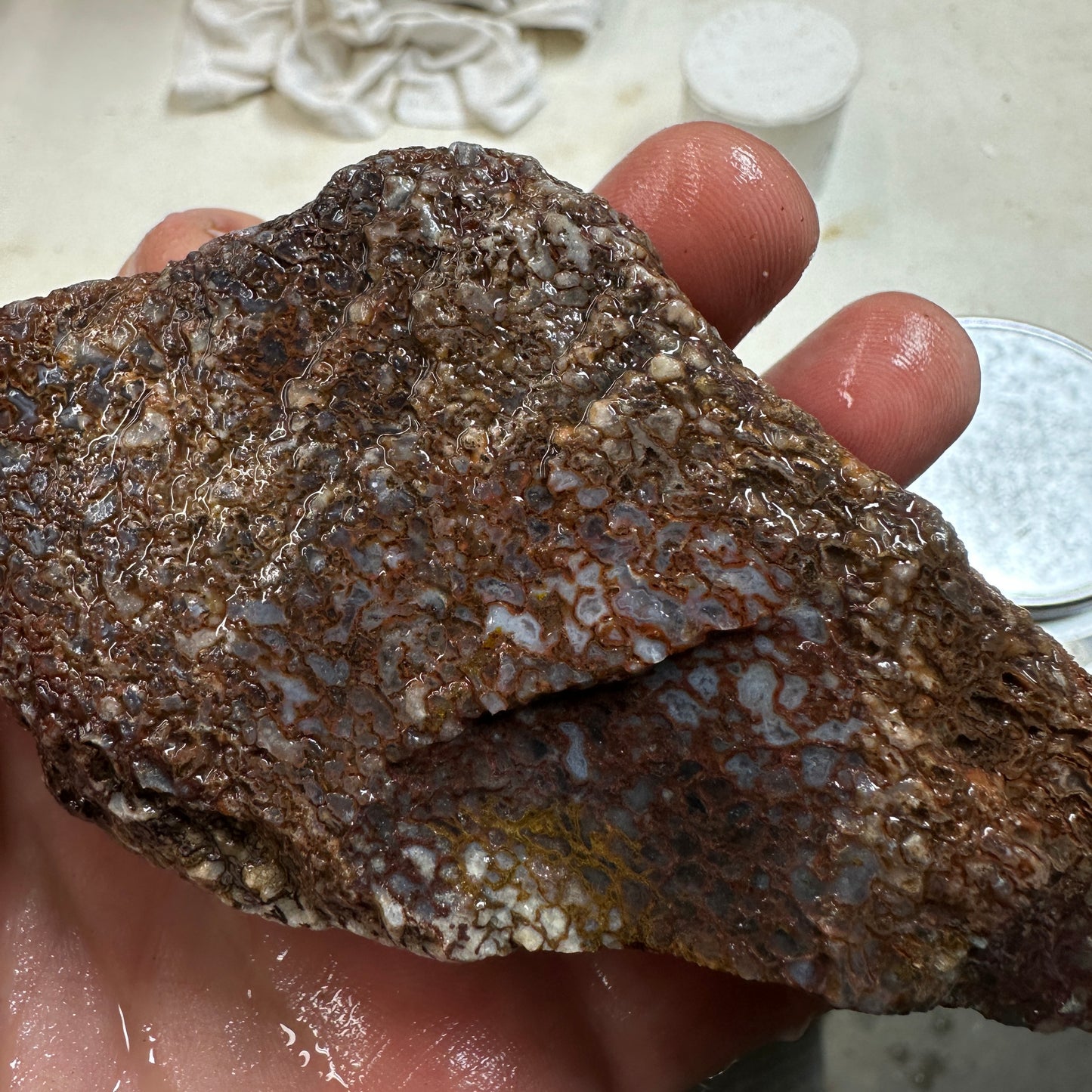 GEMBONE Dinosaur Bone Faced Rough - 0.89 Pounds