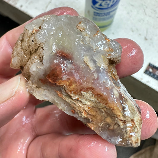 CAREY PLUME AGATE Rough - 2.93oz