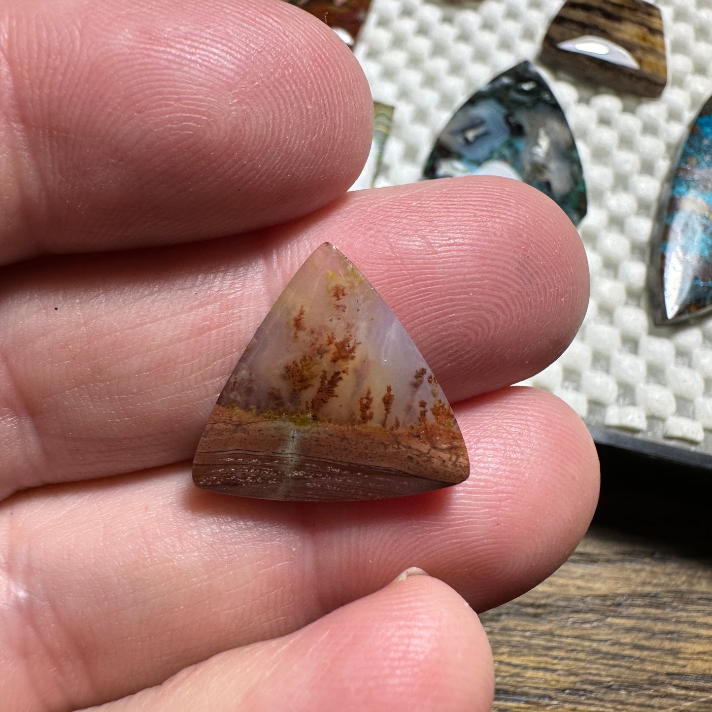 CAREY PLUME AGATE cabochon