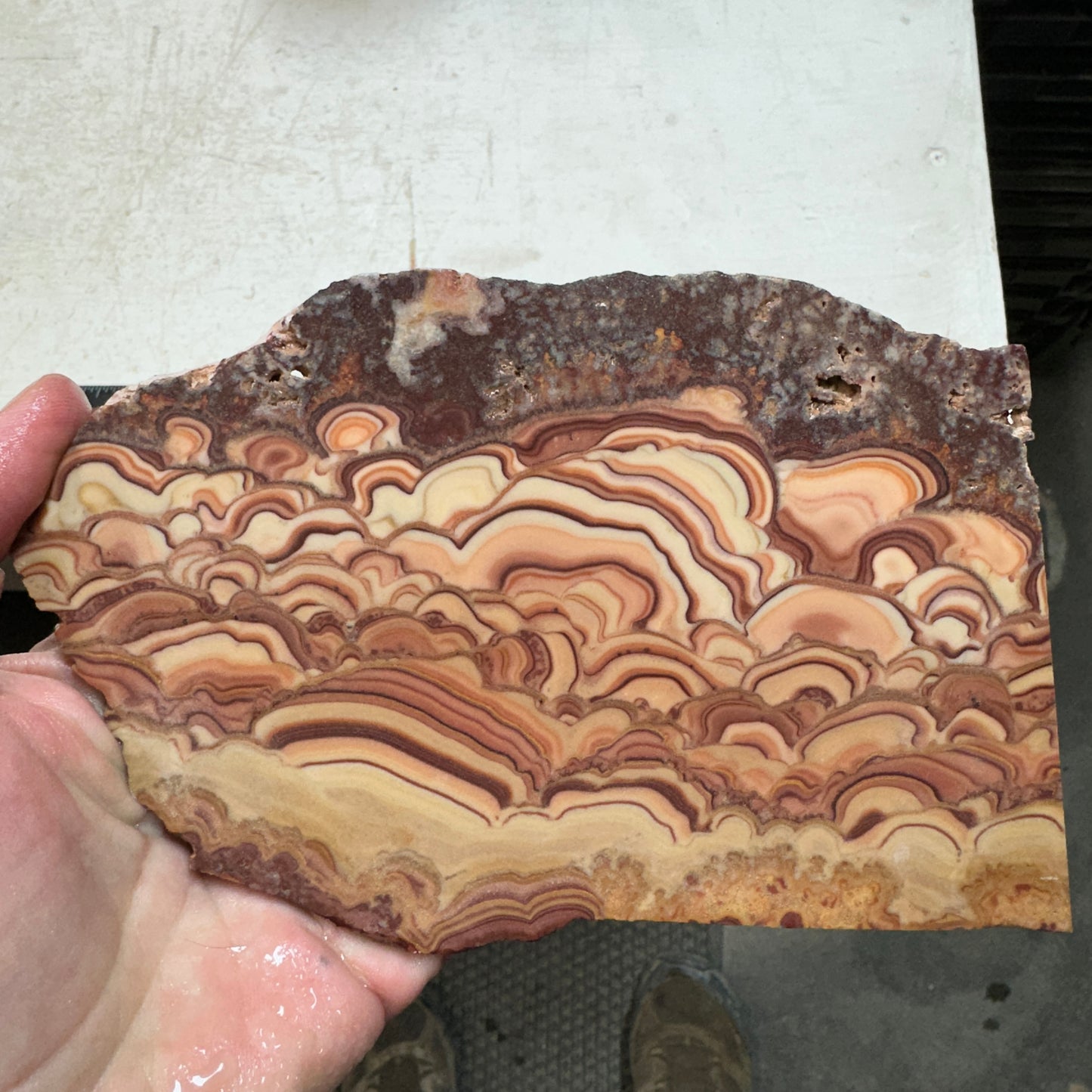 ROLLING HILLS DOLOMITE Slab - 313 grams