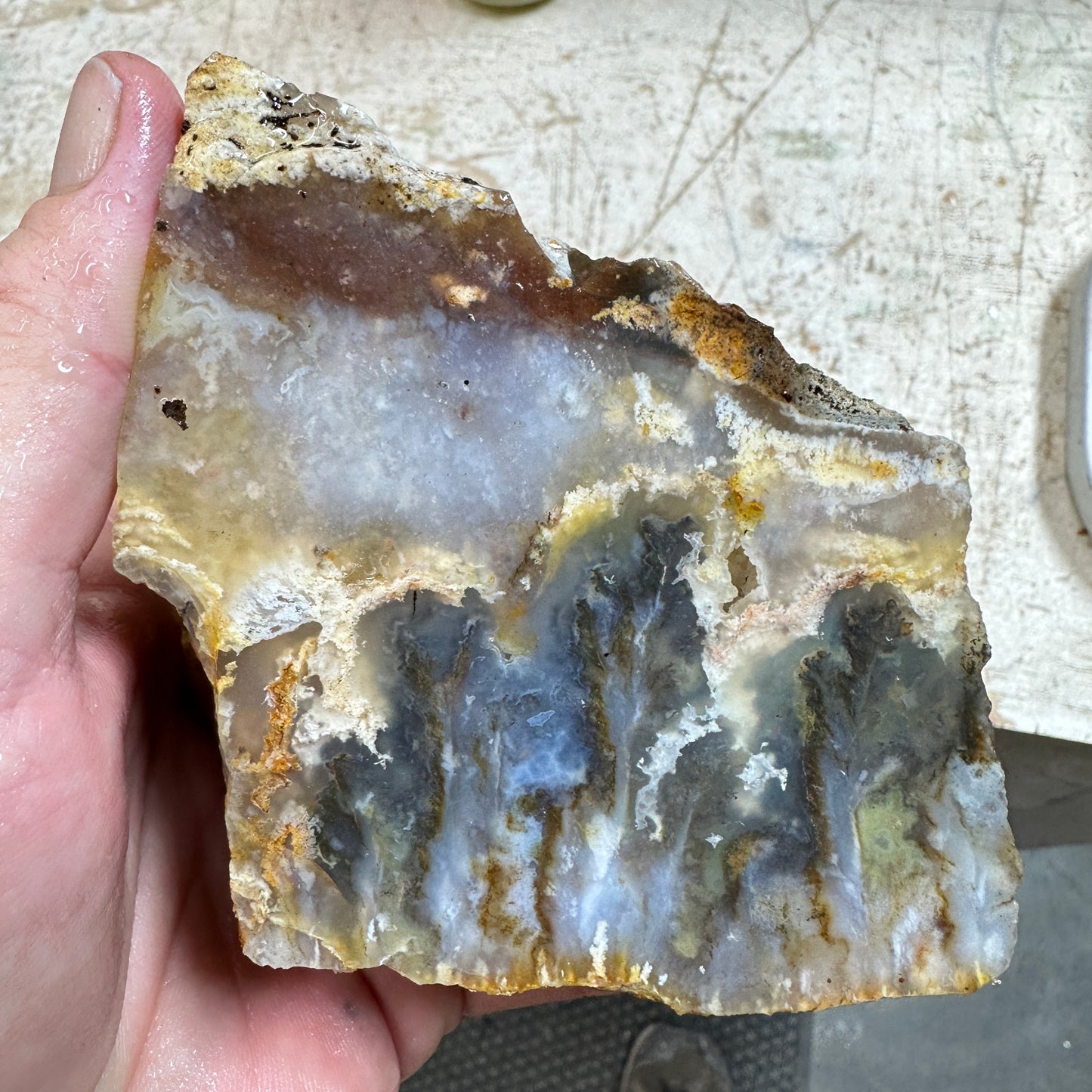 GRAVEYARD POINT PLUME AGATE Faced Rough - 1.78 Pounds