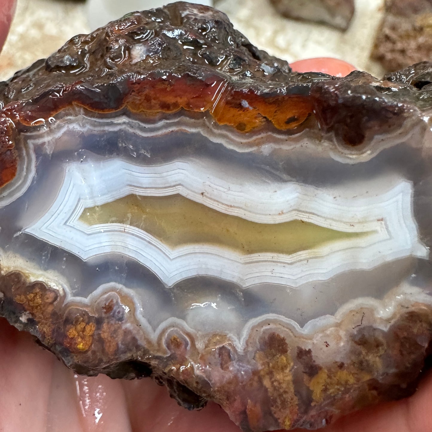 MOROCCAN AGATE Rough - 0.88 Pounds