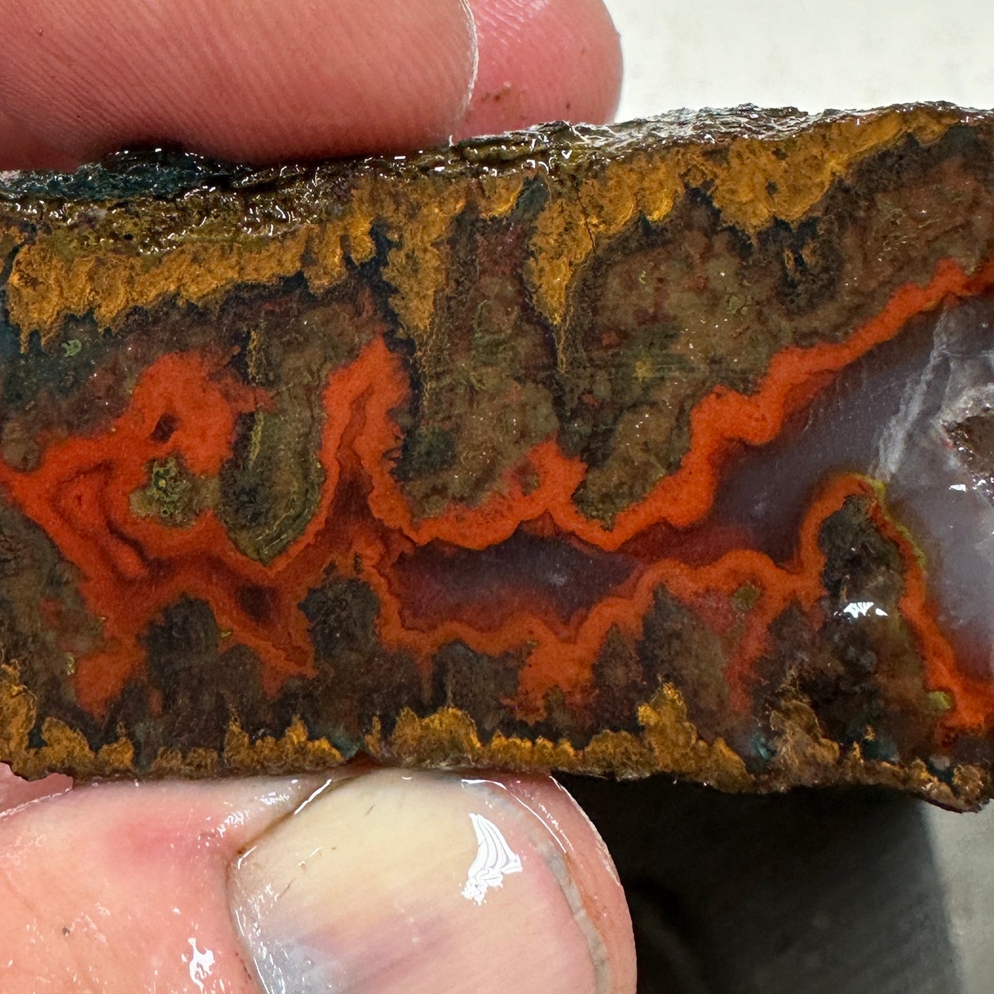 MOROCCAN SEAM AGATE Rough - 9.7ozs