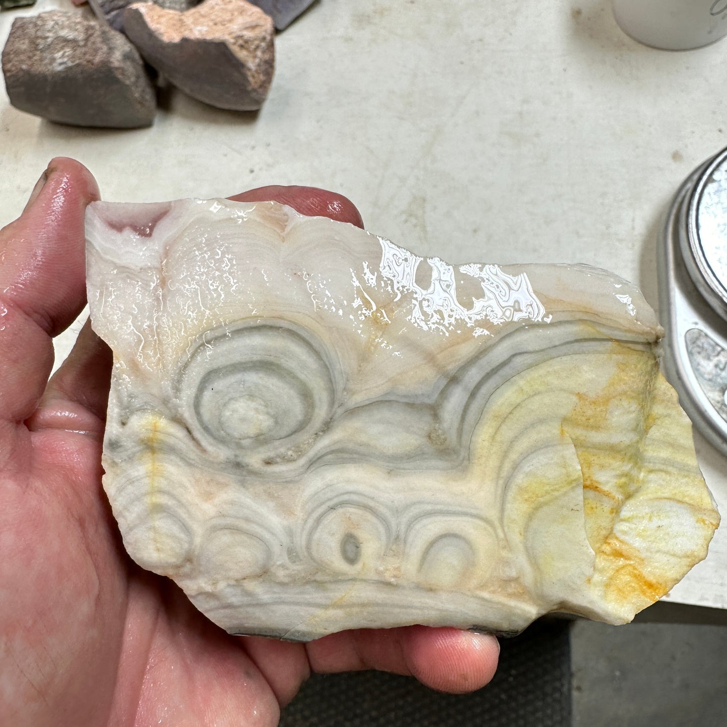 WINDY MOUNTAIN AGATE Rough - 1.38 Pounds