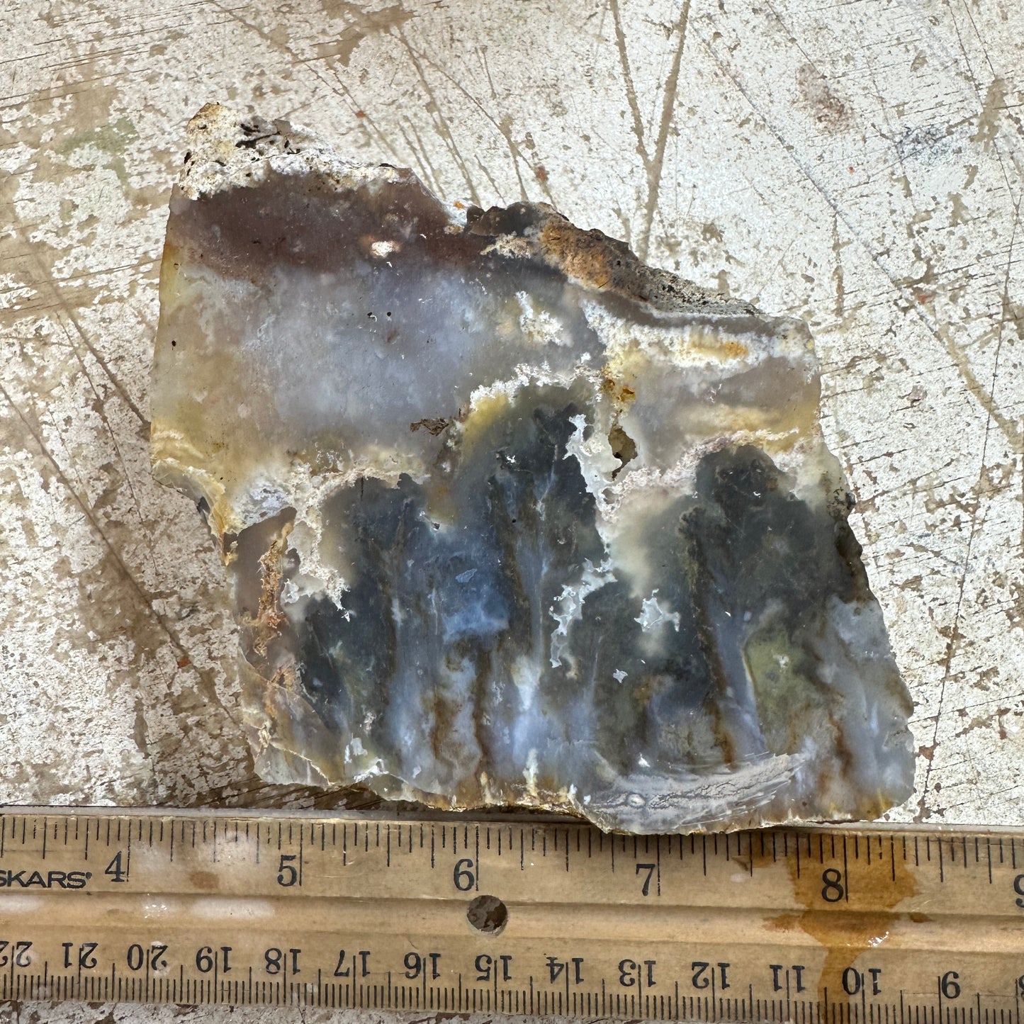 GRAVEYARD POINT PLUME AGATE Faced Rough - 1.78 Pounds