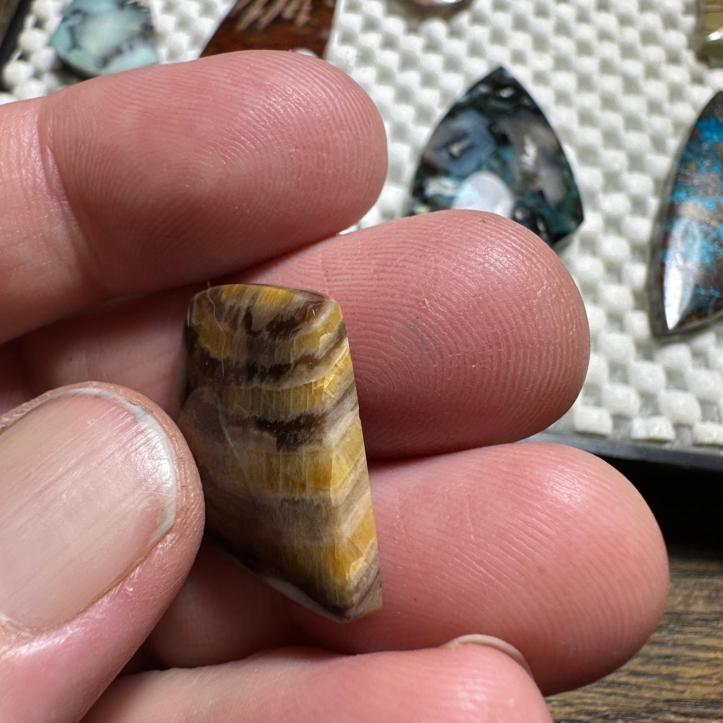 PETRIFIED WOOD cabochon