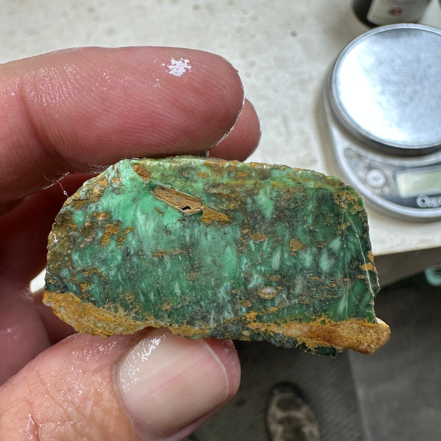 AUSTRALIAN VARISCITE Faced Rough - 77.1 grams