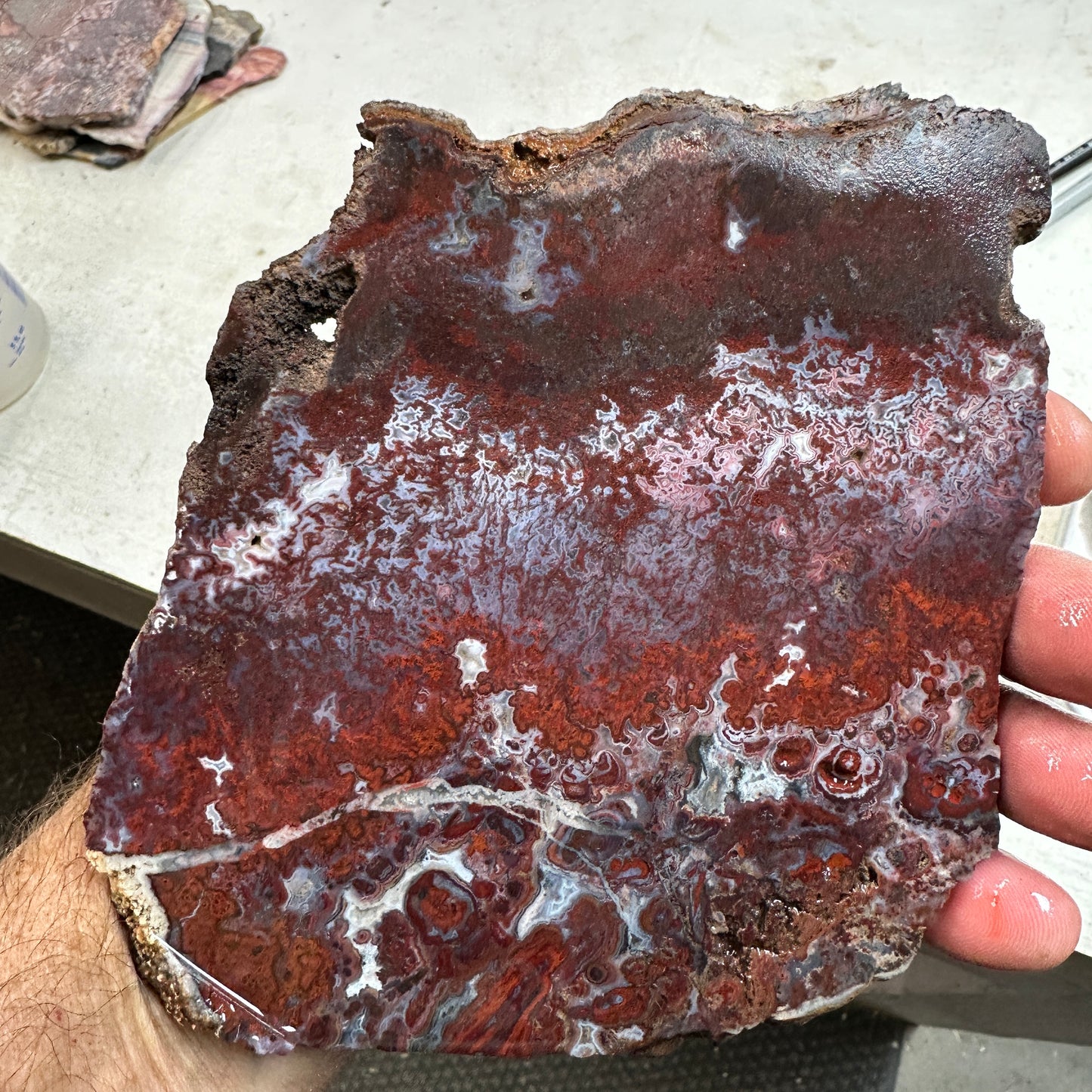 CADY MOUNTAIN AGATE Slab - 304 grams