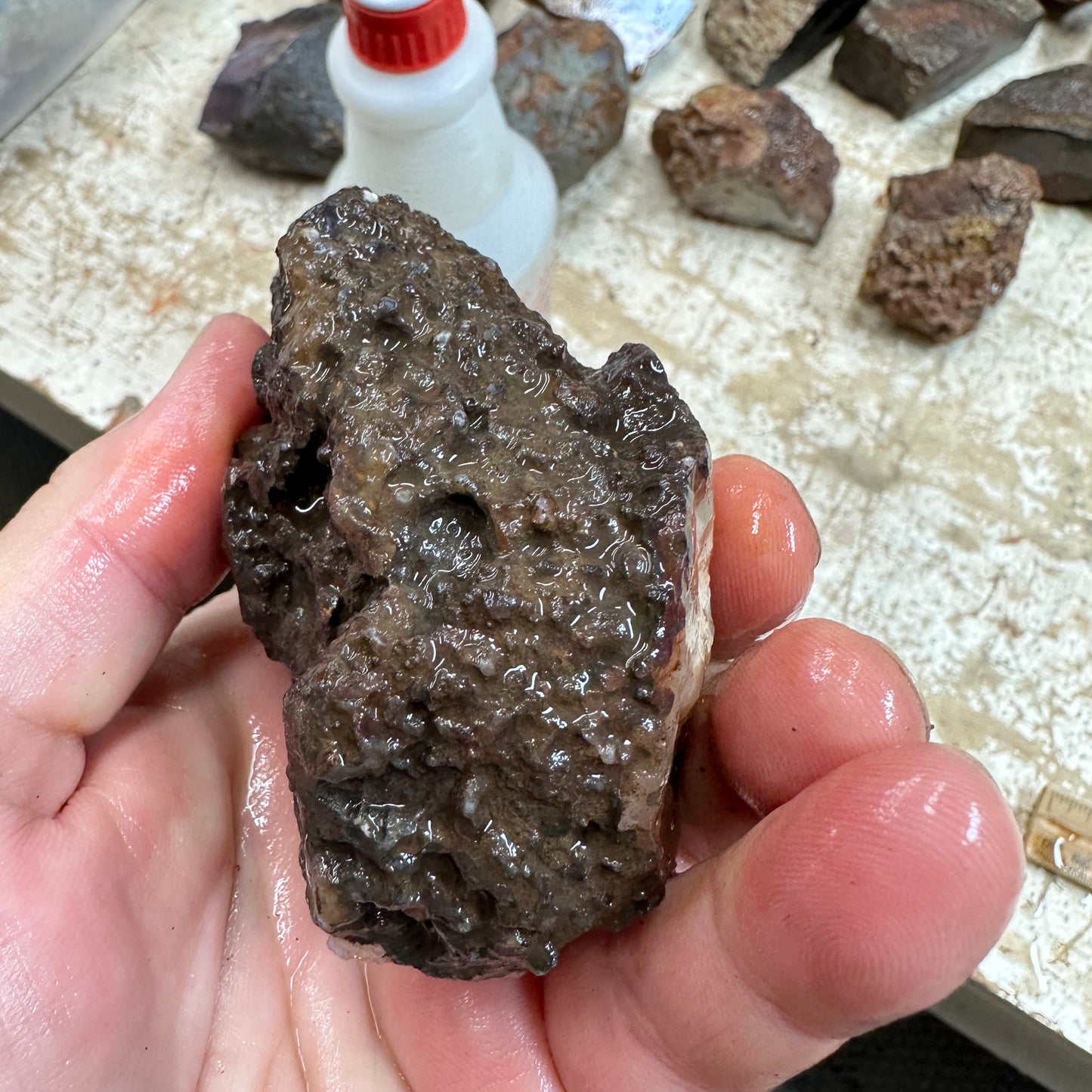 MOROCCAN AGATE Rough - 0.88 Pounds