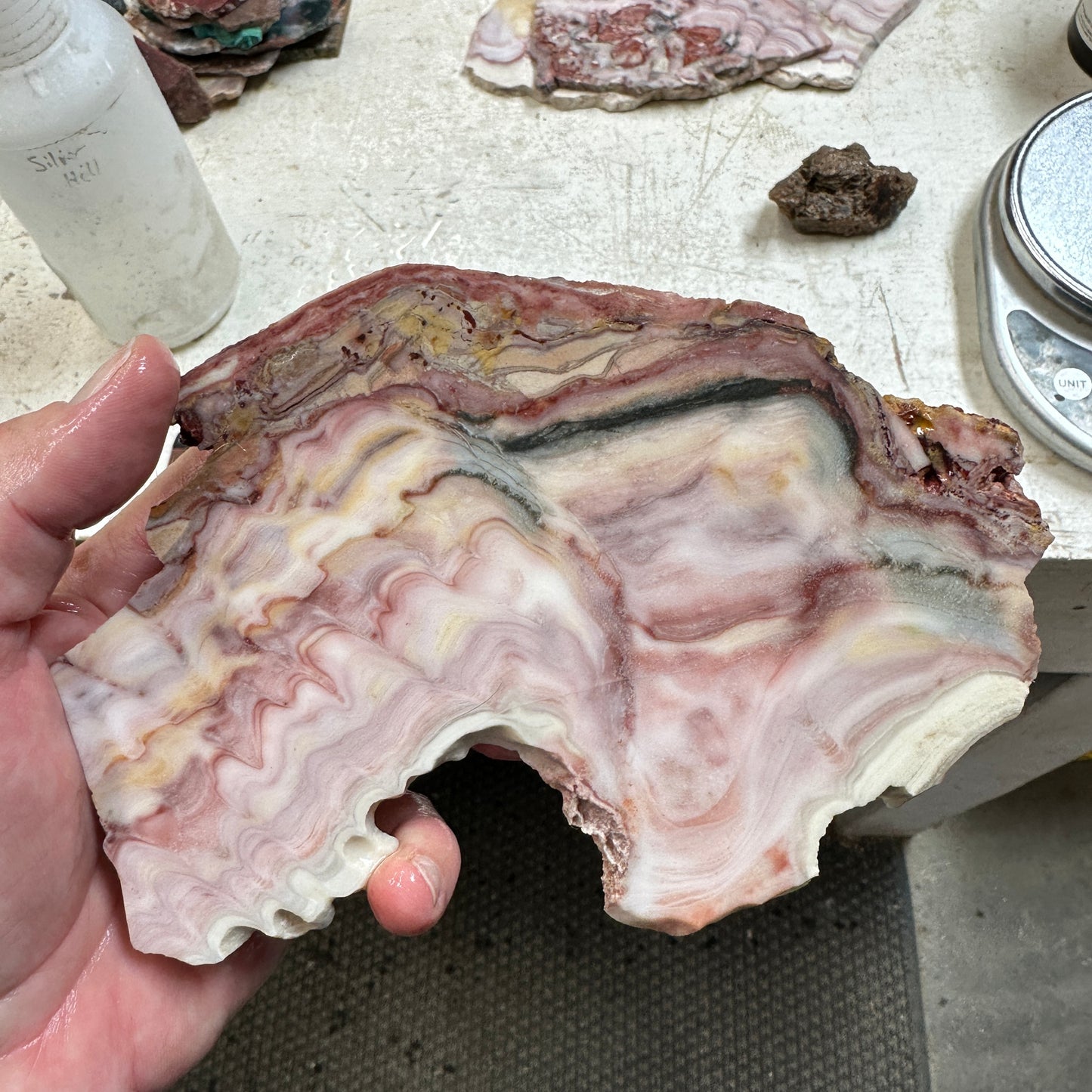 WINDY MOUNTAIN AGATE Slab - 263 grams