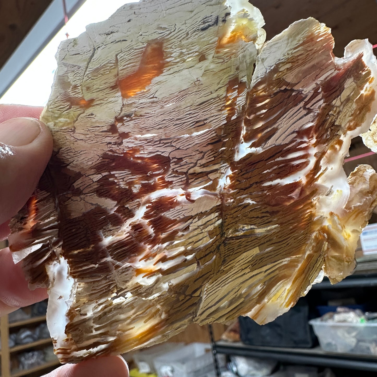 SUNSET HOWARDITE Slab - 124 grams