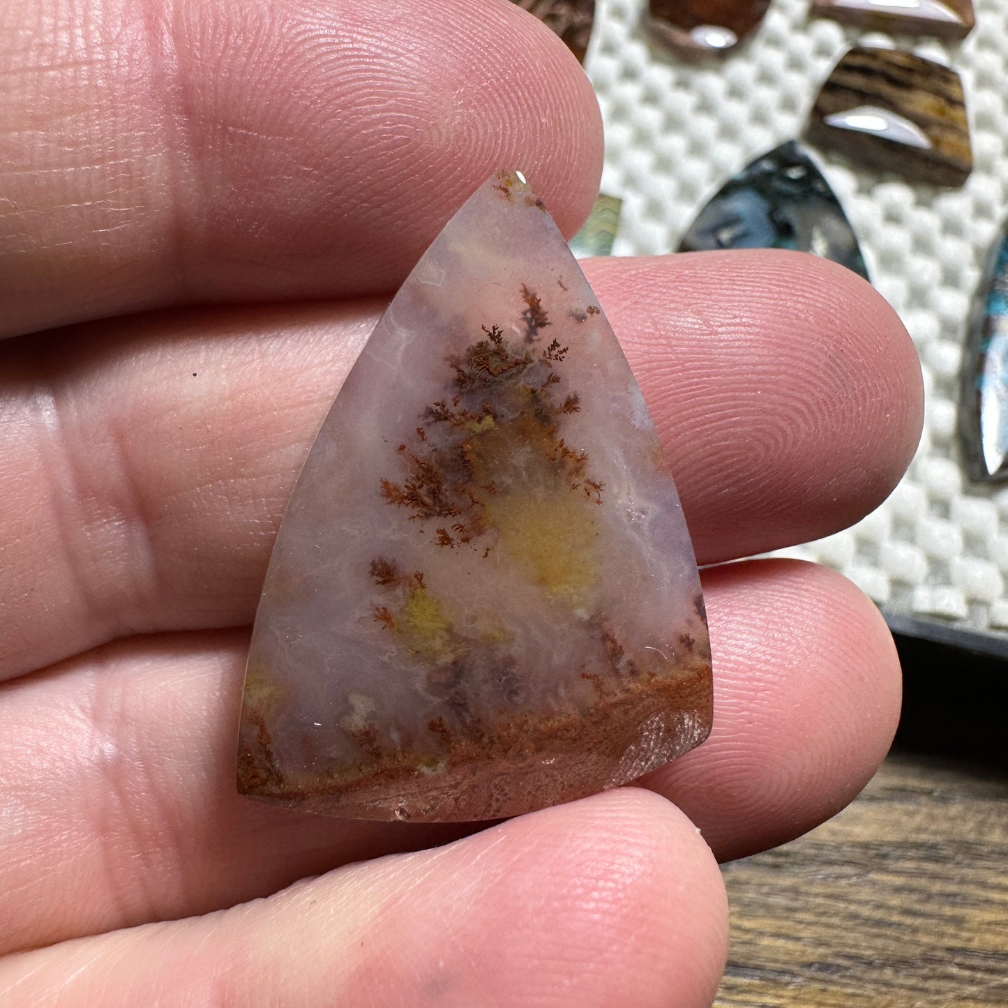 CAREY PLUME AGATE cabochon