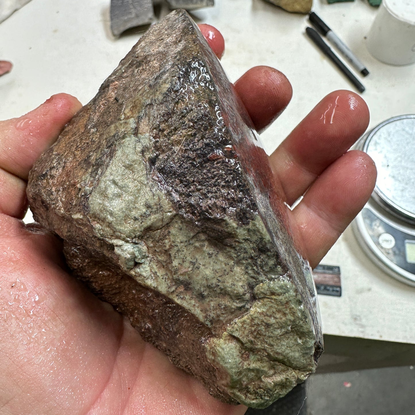 GEMBONE Dinosaur Bone Faced Rough - 1.42 Pounds