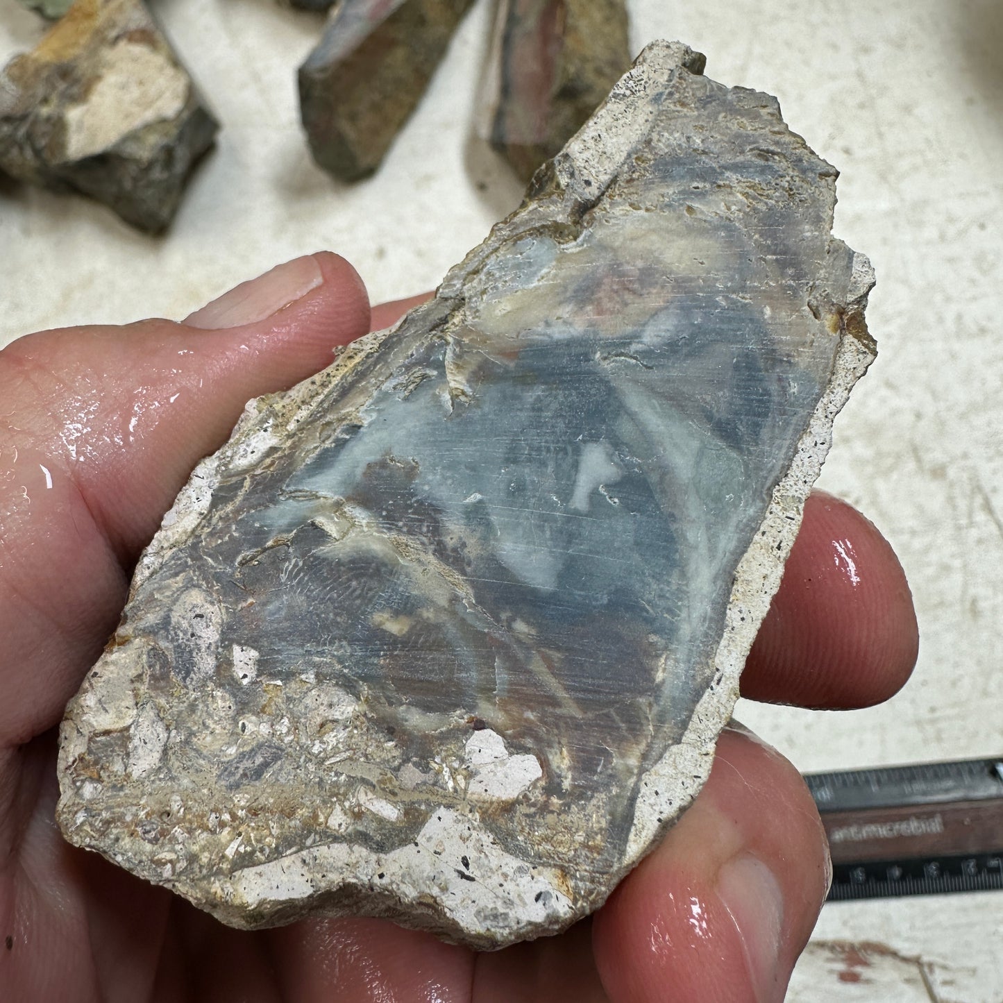 MORRISONITE JASPER Faced Rough - 0.49 Pounds