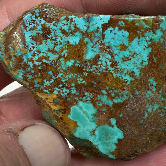 RISING PHOENIX Turquoise rough - 52 grams