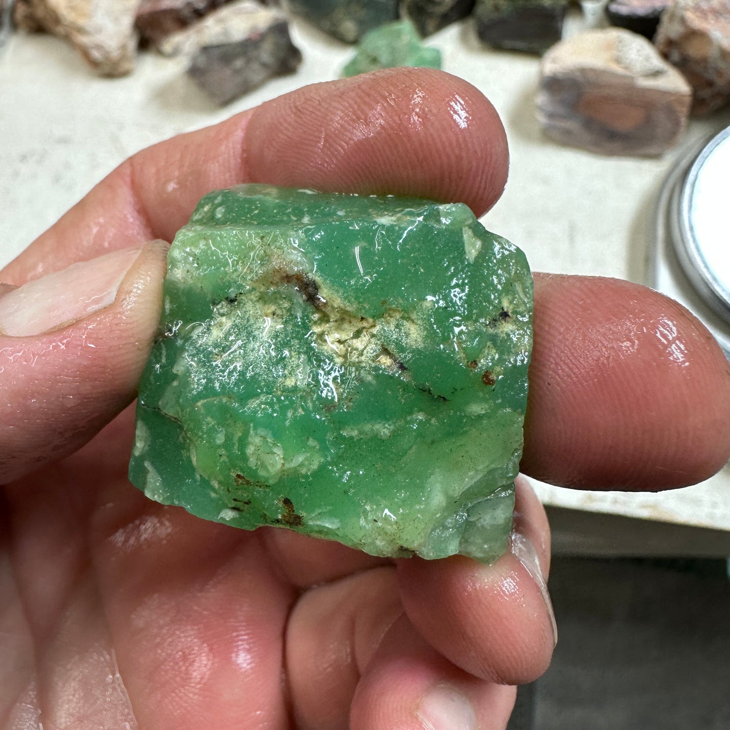 Tanzanian CHRYSOPRASE Rough 50.7 grams